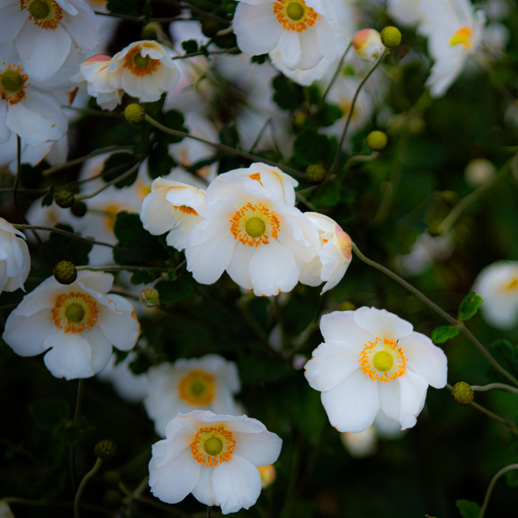 Paris Edit JPG-12.jpg