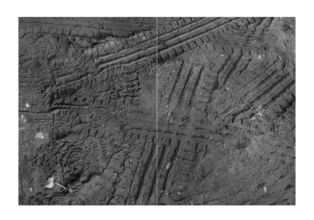 Screenshot 2026-04-23 203557.jpg