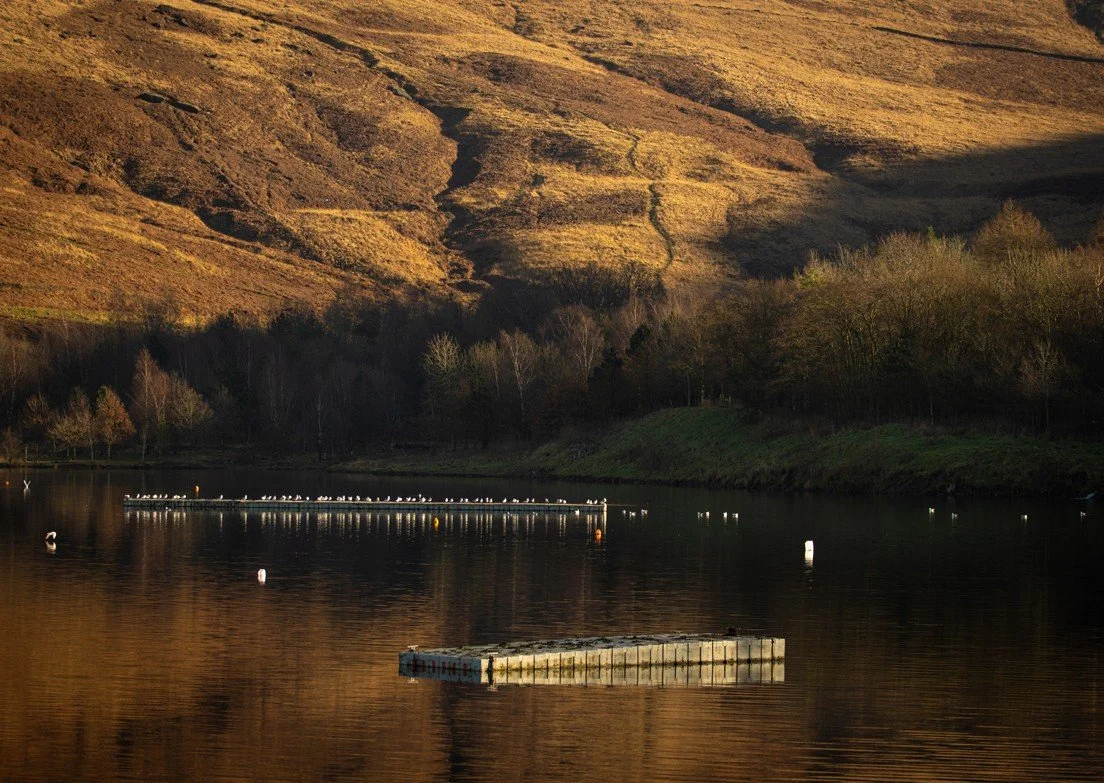 Screenshot 2026-04-23 213053.jpg