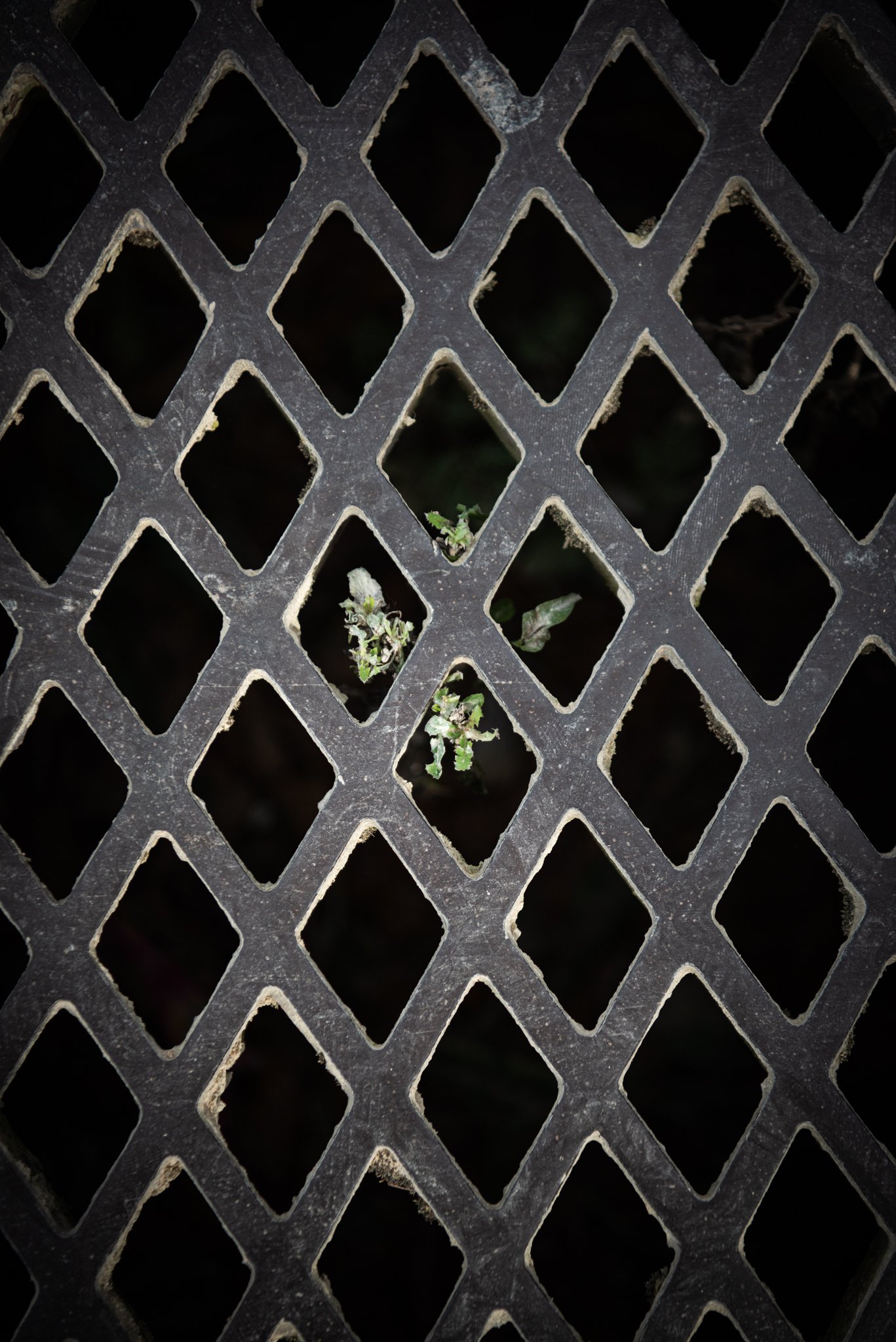 Paris Edit JPG-79.jpg