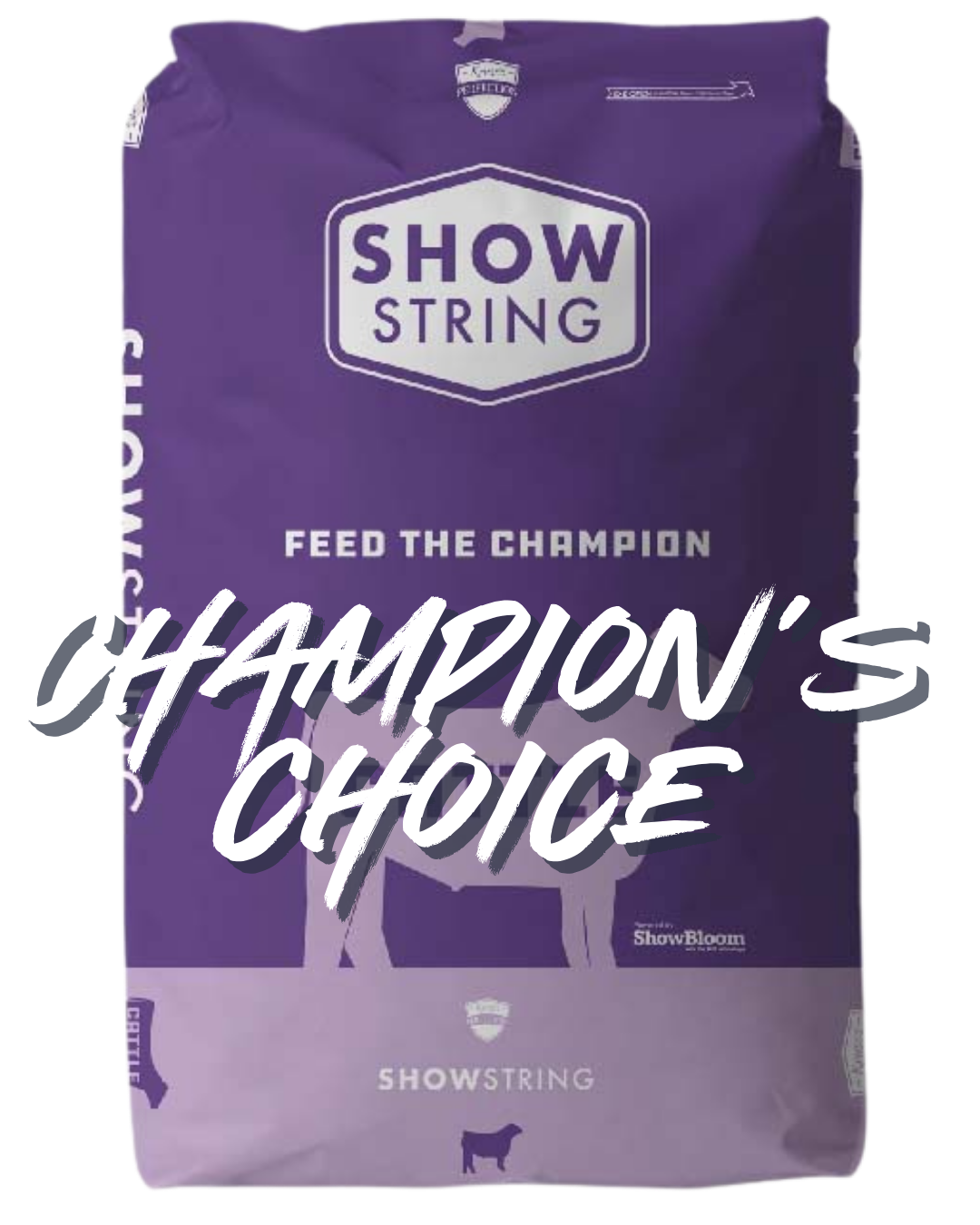 The Feed — SHOW STRING
