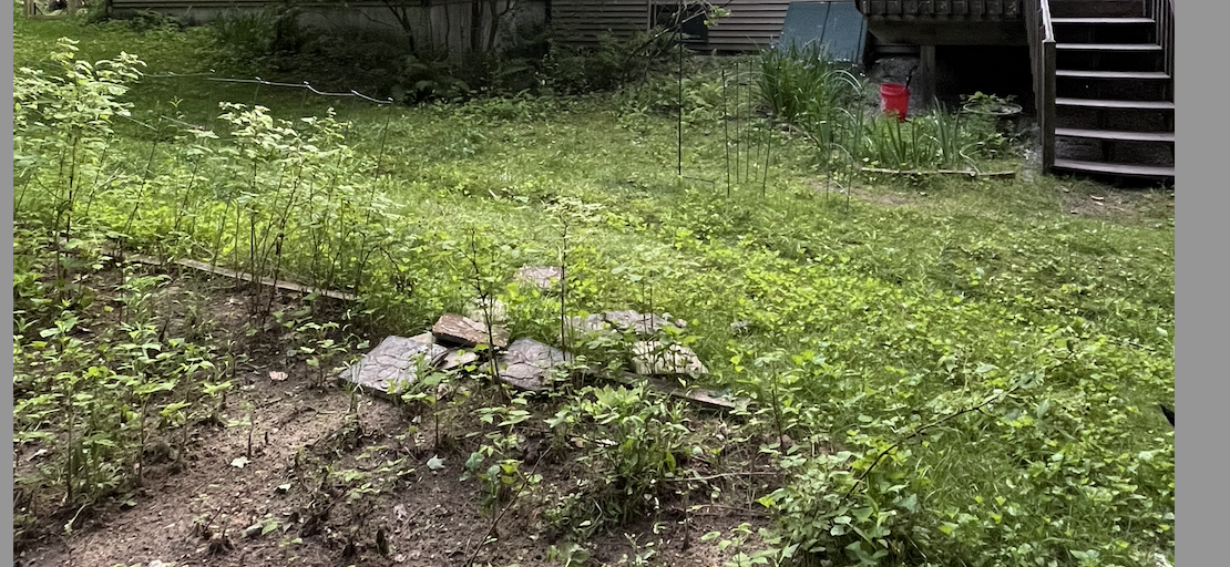 This is the stream when we first moved in. It was flowing pretty strong and made the backyard area up to the foundation pretty soggy! We knew we needed a solution...