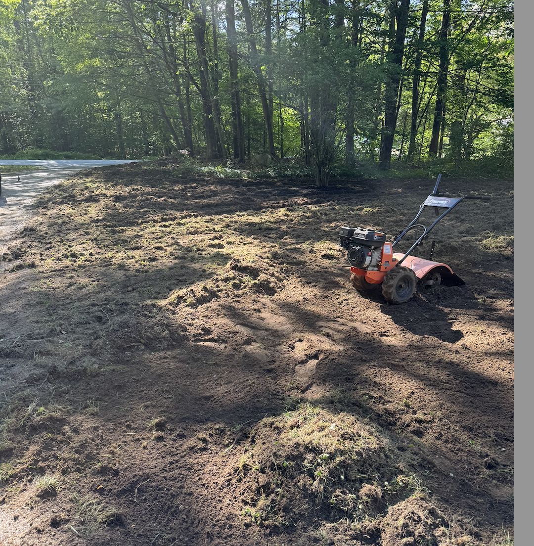 Went to work as soon as we could on the lawn. Used our rototiller to break up the soil and raked soil. Did that twice!