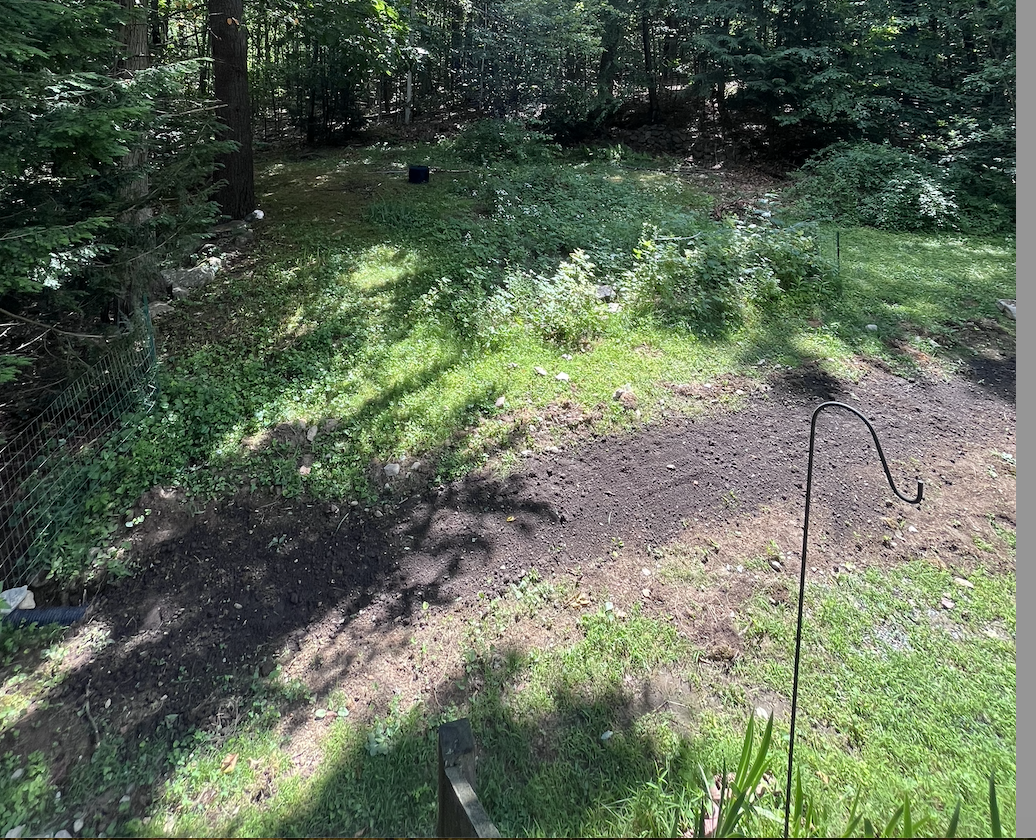 The cherry on top, 2-3 inches of nice soil.