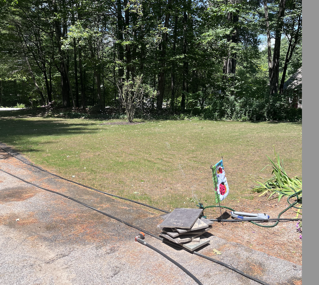 After doing our research and soil testing, we added some lime and gypsum and started our seeding.