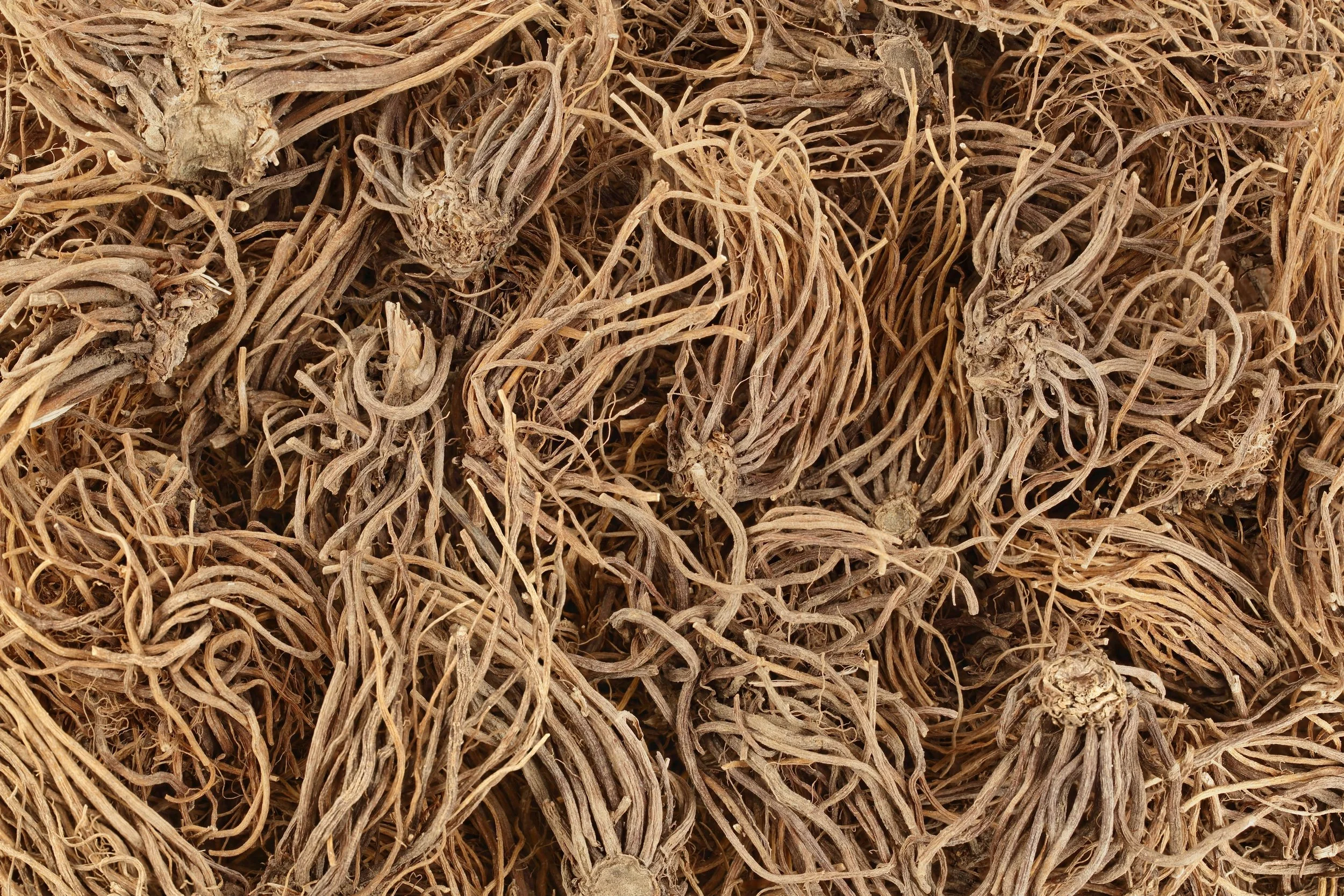 Dried Valerian root