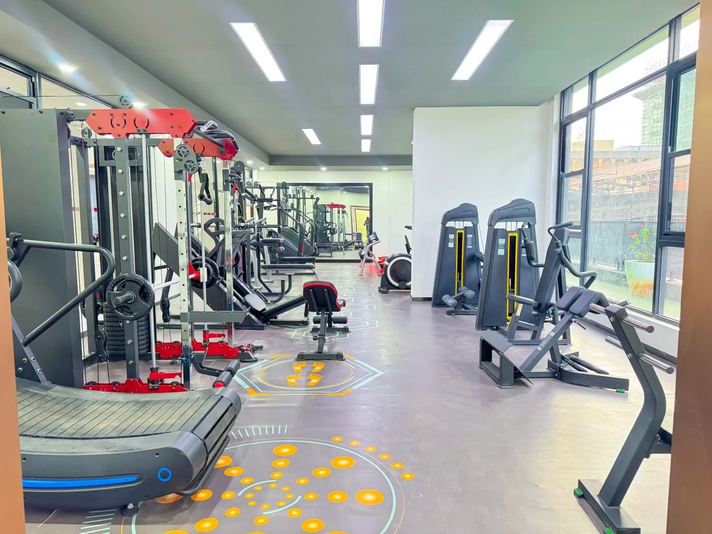 WhatsApp Image 2026-02-22 at 14.29.46.jpeg