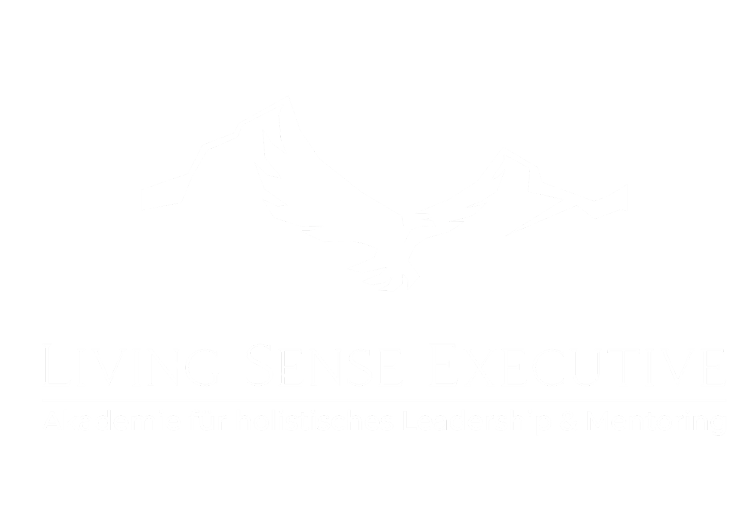 Schwarzes Logo mit weißem Berg- und Adler-Symbol, darunter der Text "Living Sense Executive" und "Akademie für holistisches Leadership & Mentoring".