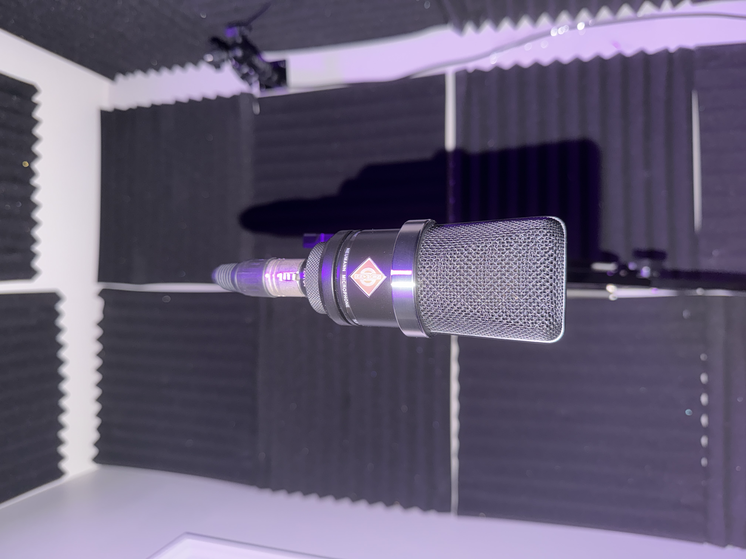A professional studio microphone with a shock mount in a soundproofed recording studio.