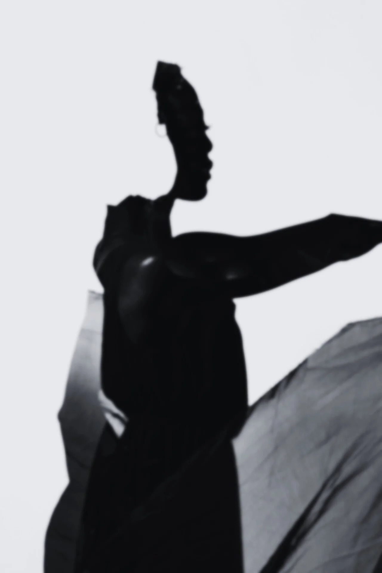 Silhouette of a two people spinning together against a light background.