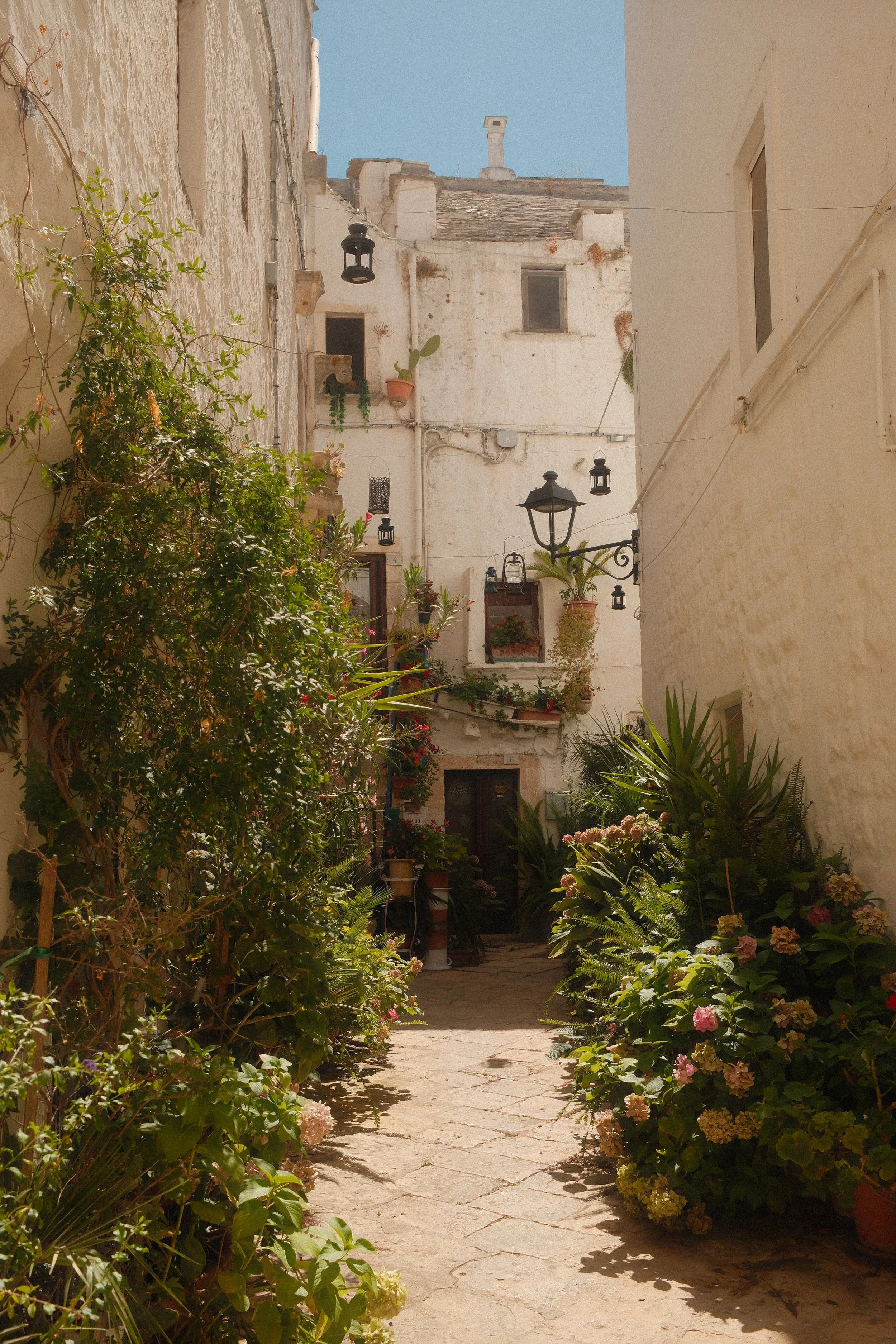 DSCF1451.JPG