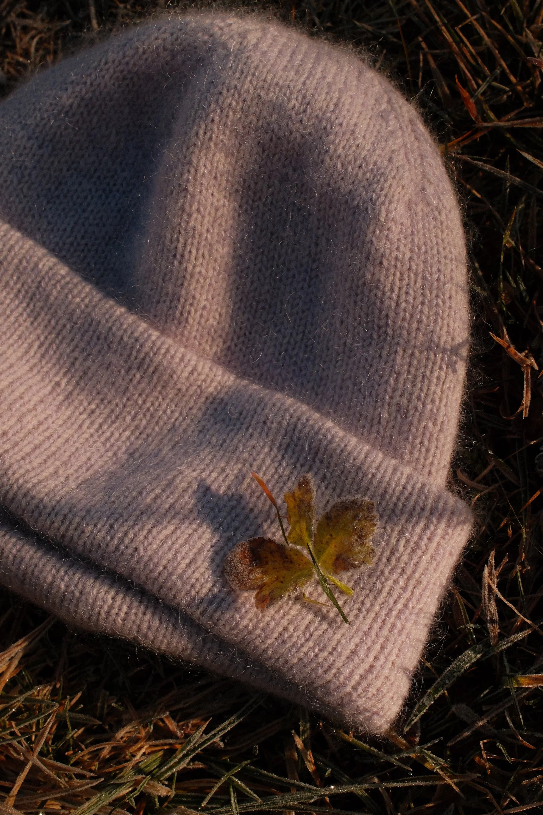 DSCF2522.JPG