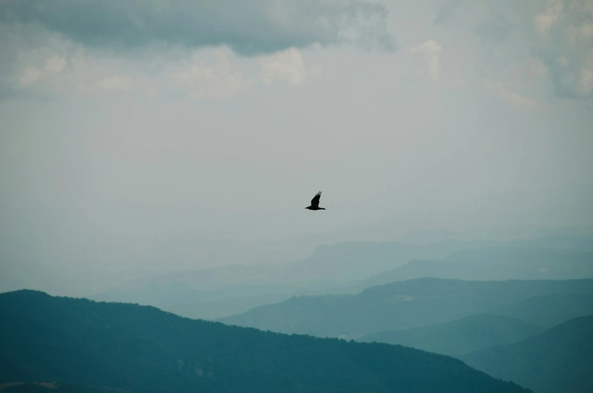 Preparing to Bring a Case for Coaching Supervision: A Journey of Reflection and Discovery