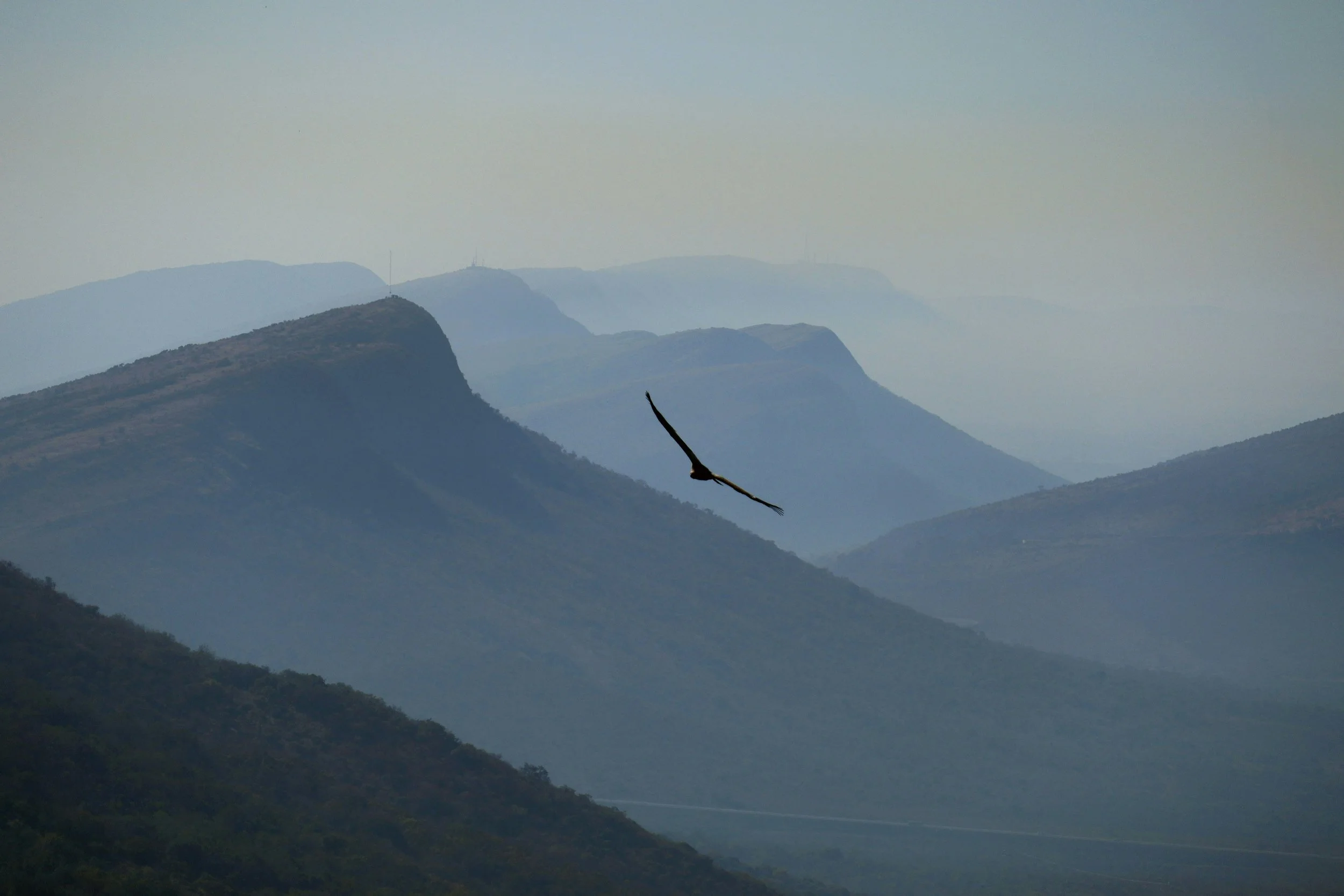 A bird soaring over layered mountains with a hazy sky in the background.