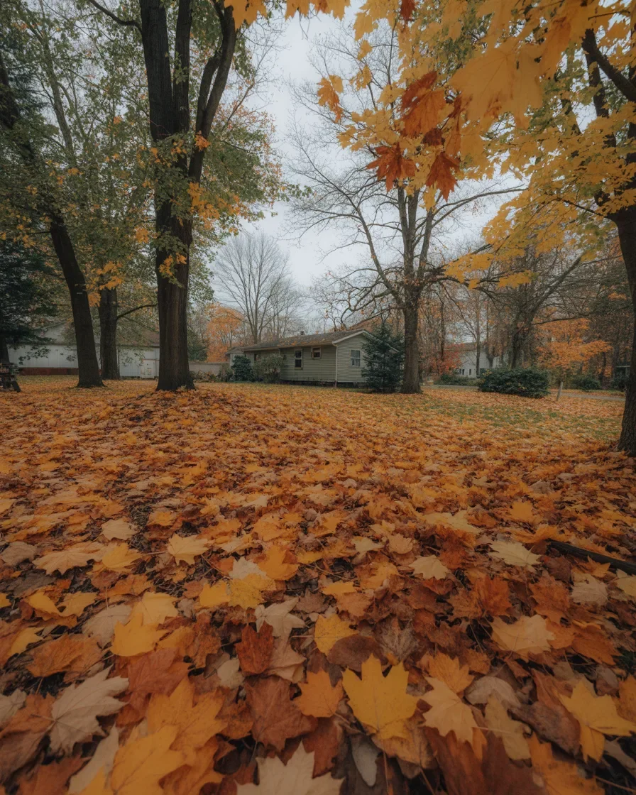 Fall leaves Northern Michigan yard needs removal cleanup thick layer lawn covered oak maple