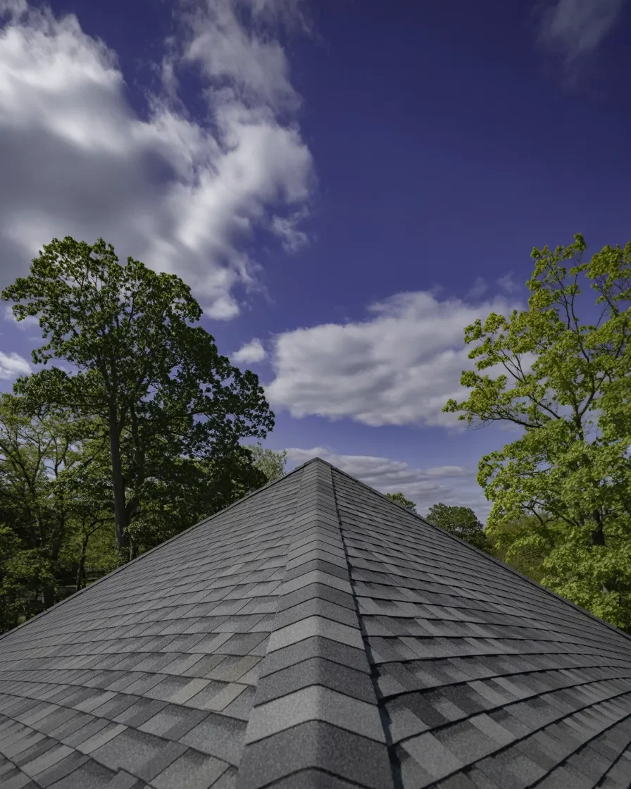 Northern Michigan home roof worth protecting low angle view clean shingles blue sky soft wash service