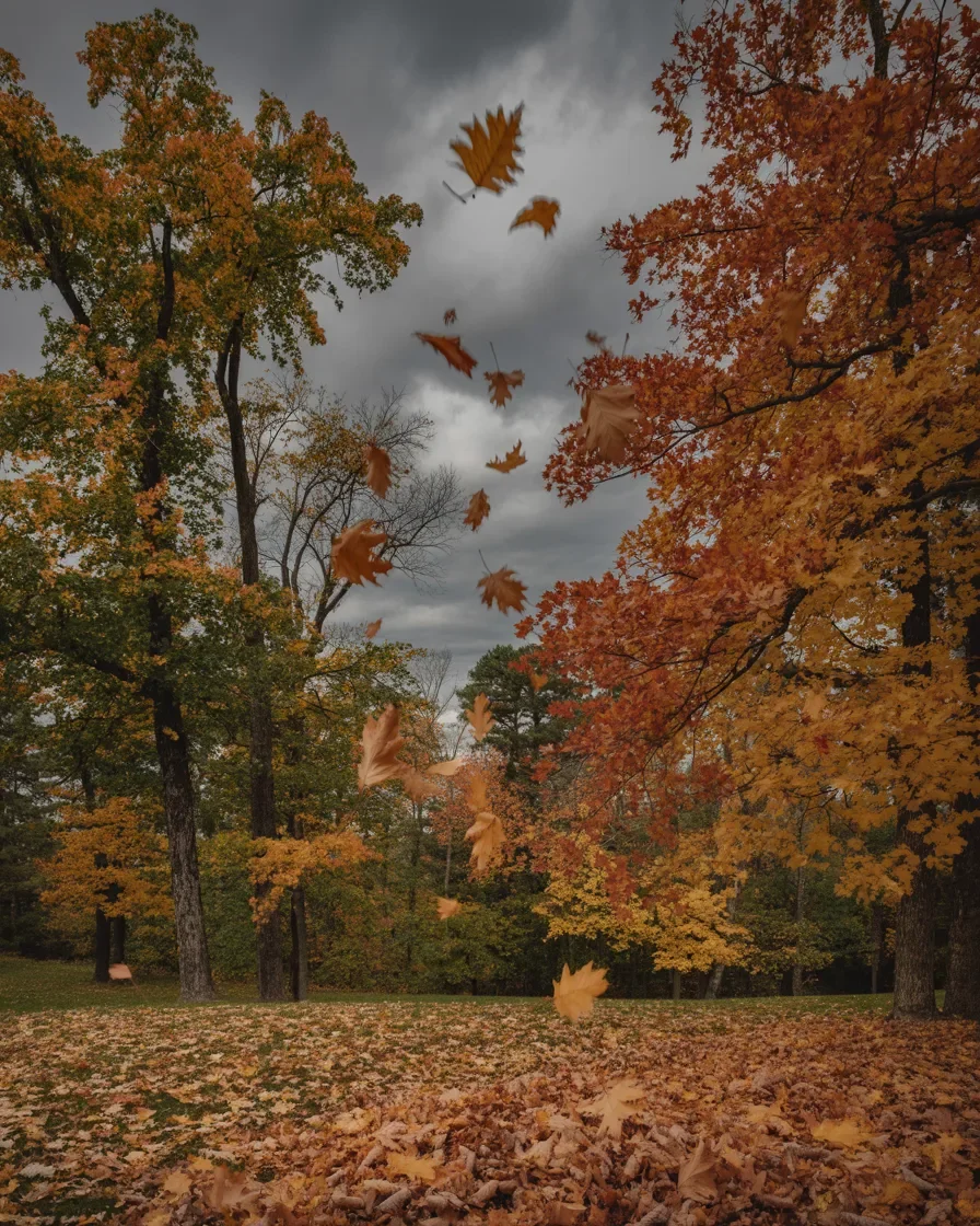 Northern Michigan fall leaves falling urgency cleanup CTA peak color season closing fast property