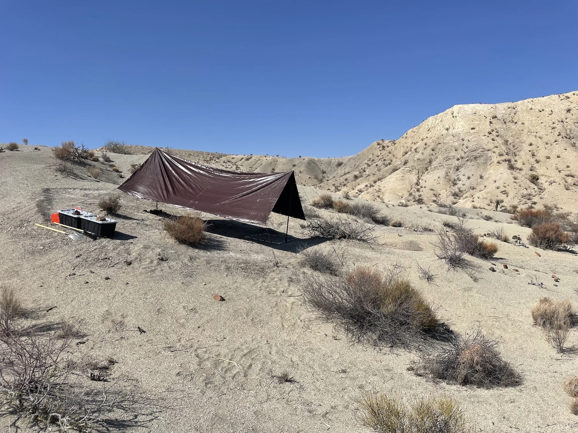 A reflective brown outdoor shelter set up in a desert landscape with sparse bushes and a clear blue sky.