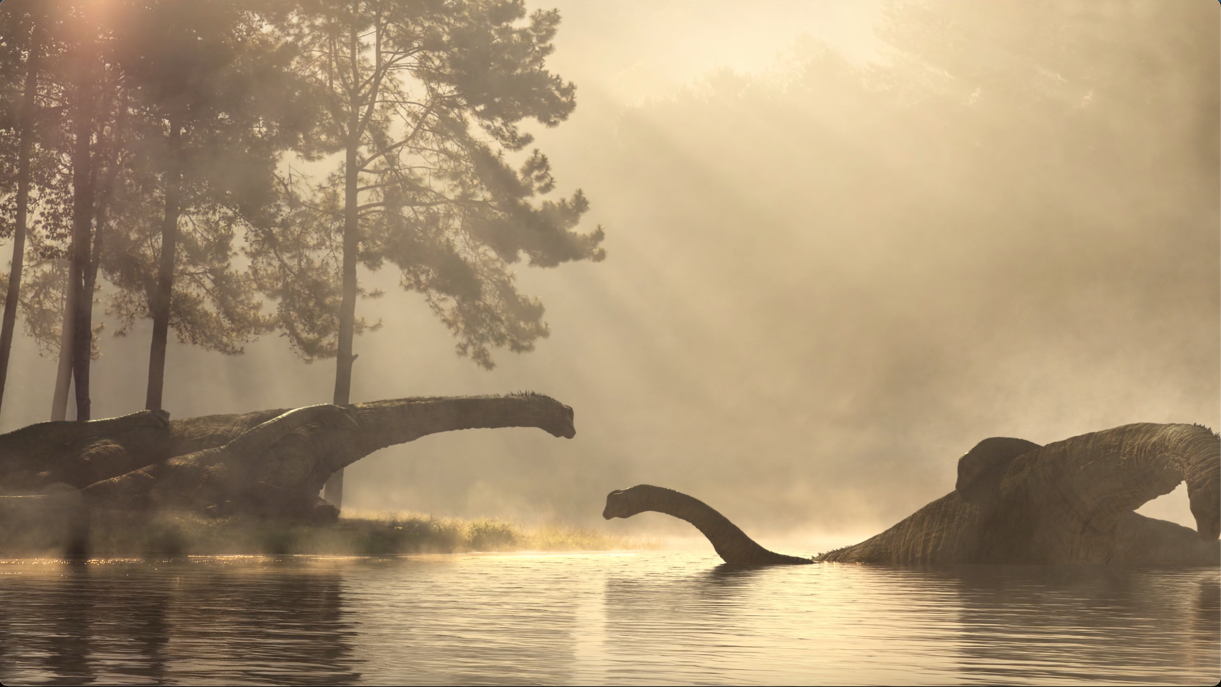 Screenshot 2026-03-05 at 8.27.49 AM.png