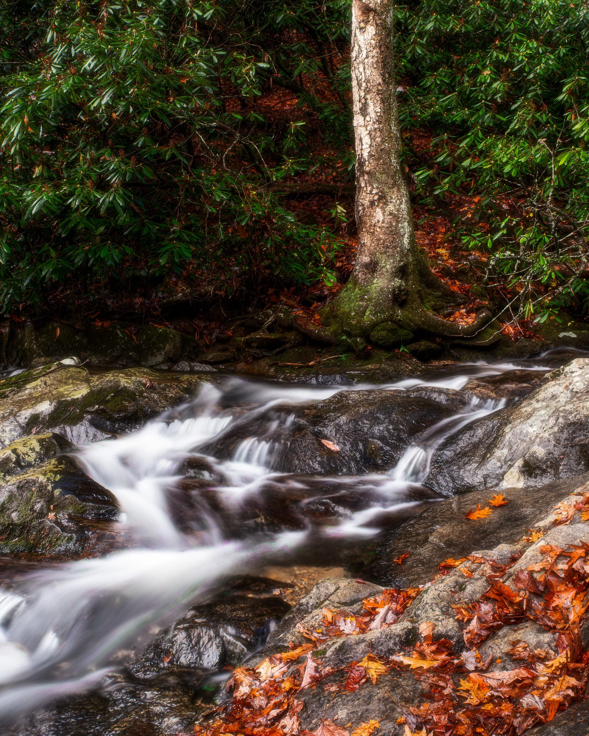 BR Cascades Fall-Edit.jpg