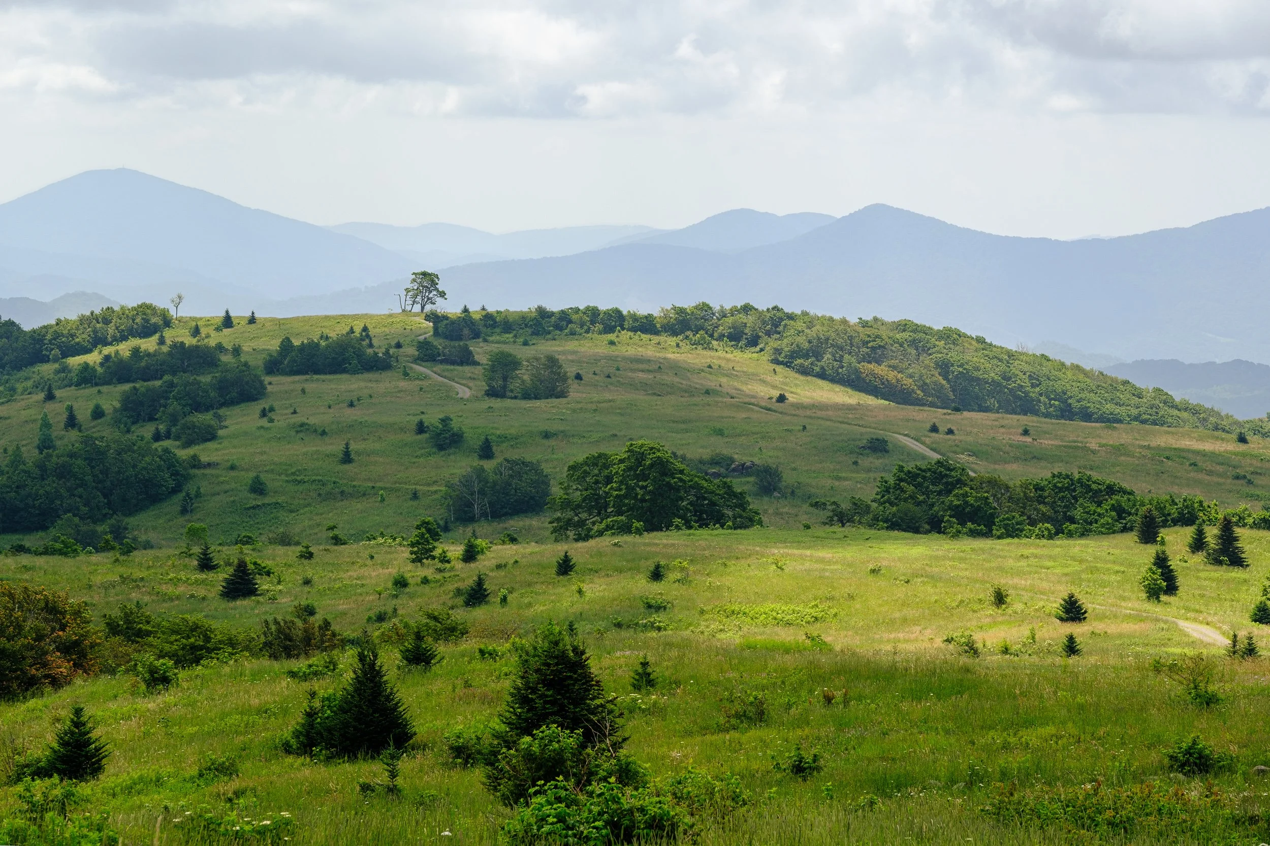 PondMtn Summer road.jpg