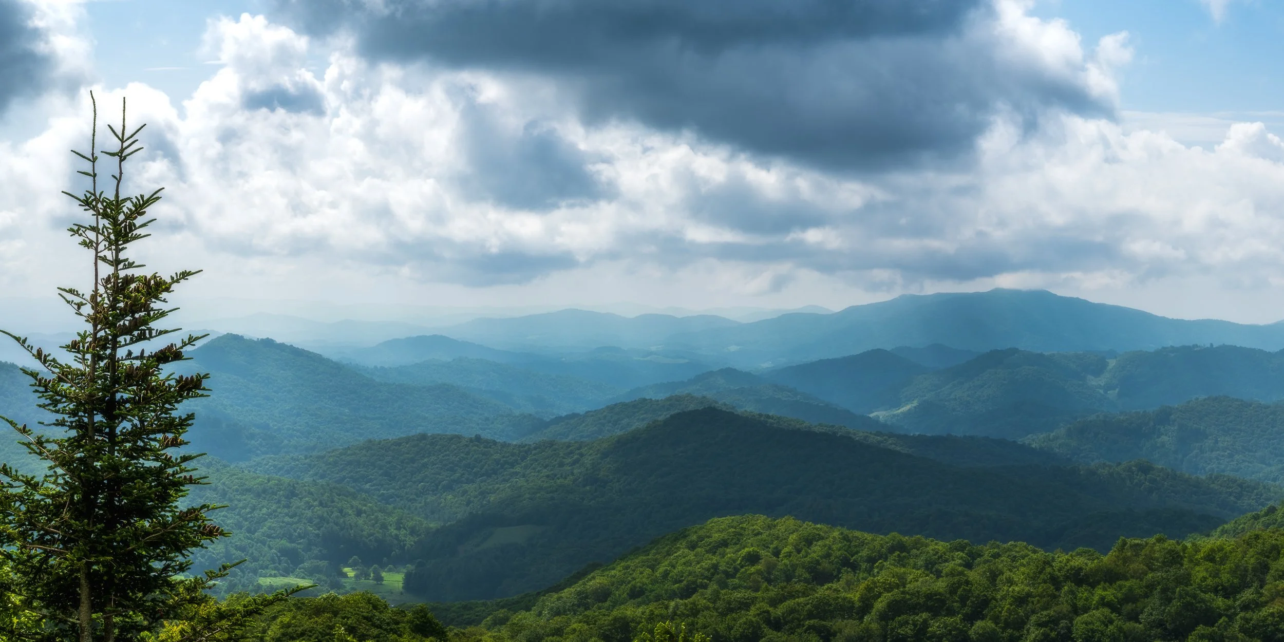 Pond Mtn Summer Panno 1 B_W.jpg