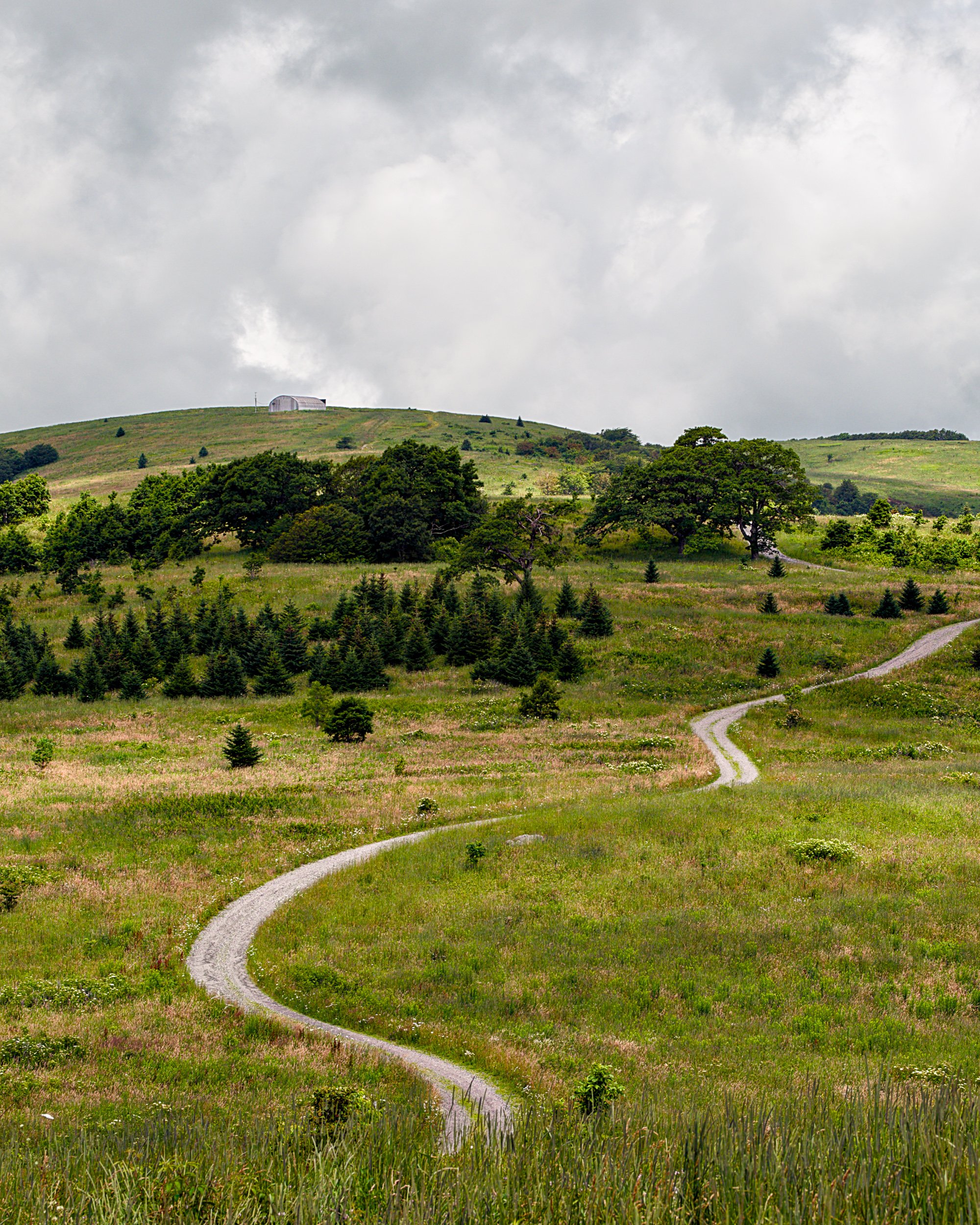Mountain Road into the Storm.jpg