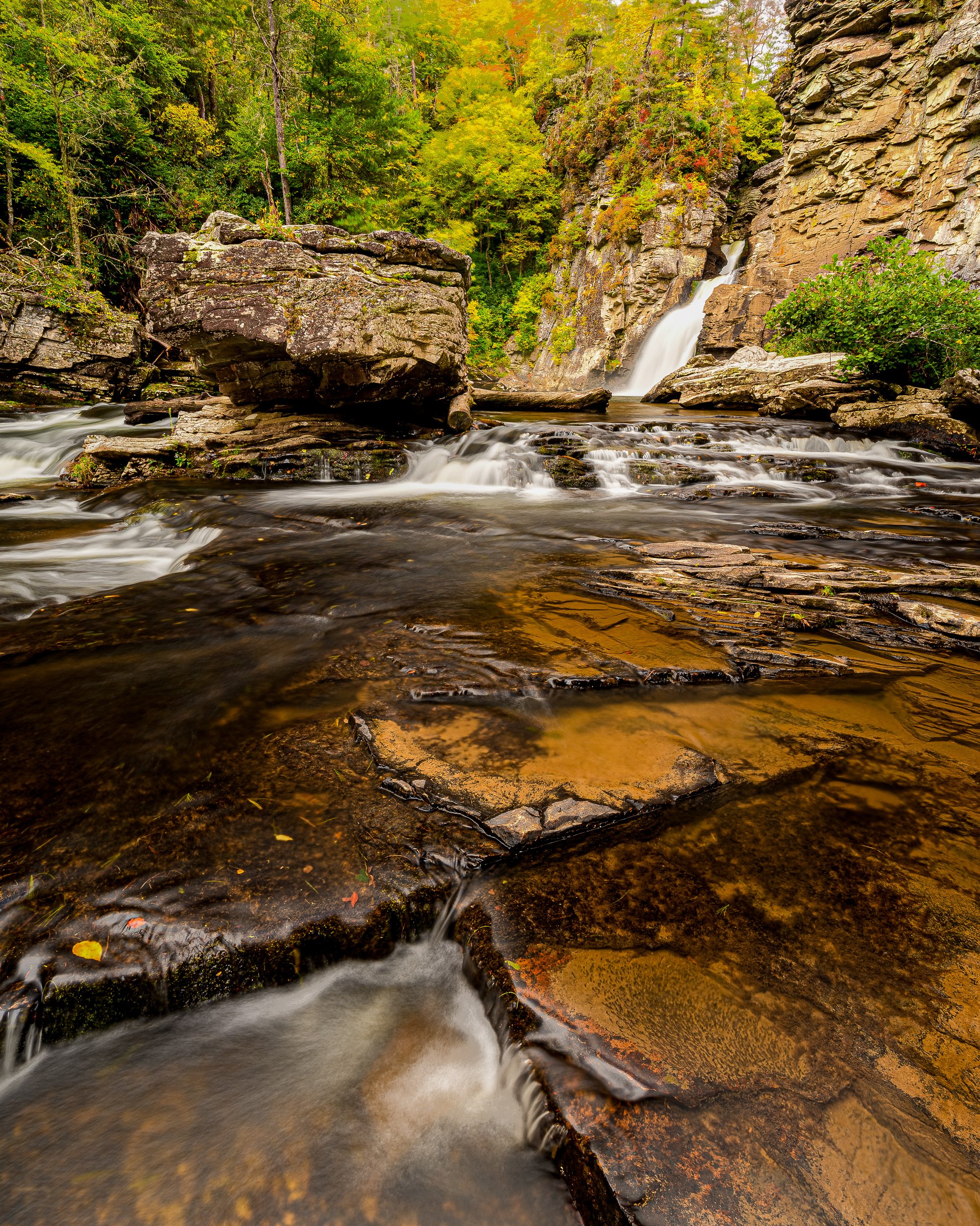 Shapes of the Fall.jpg