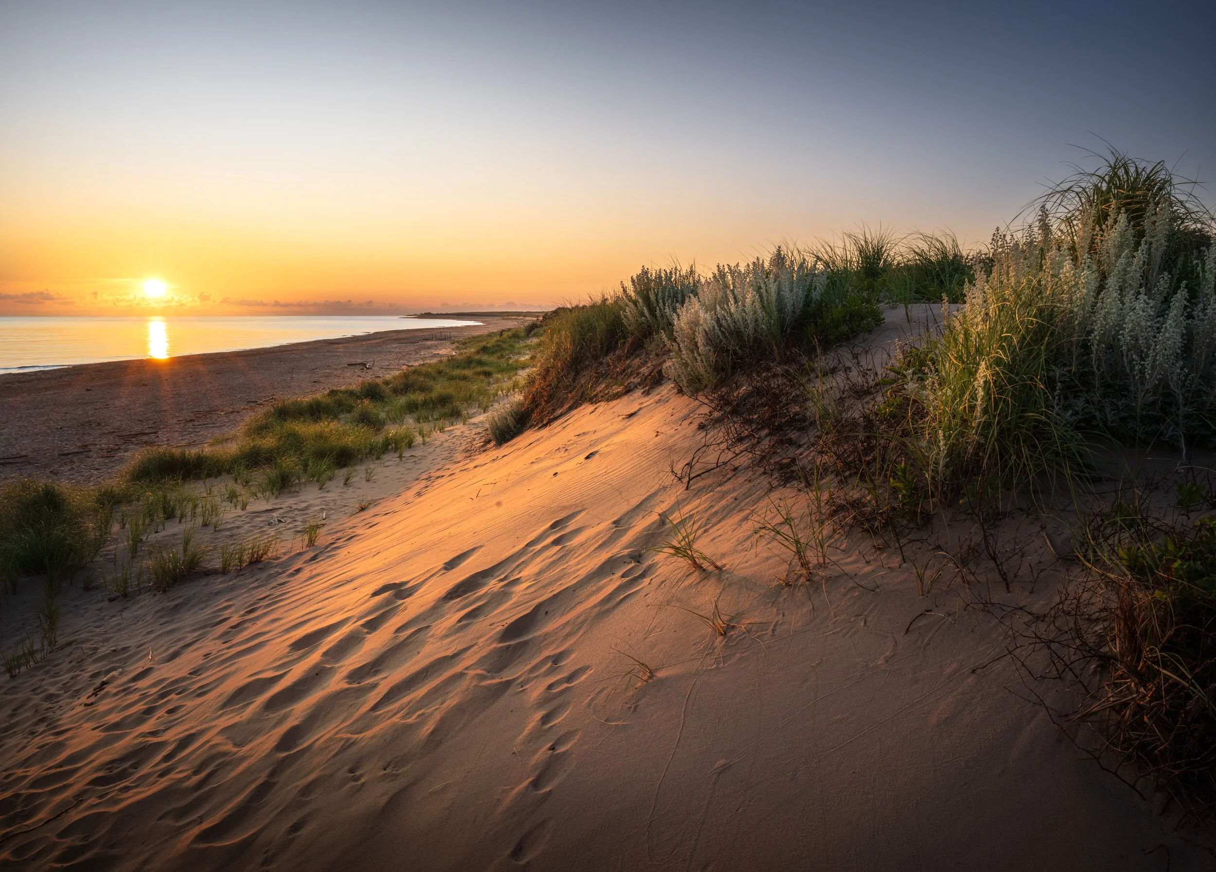New Day at Greenwich Dunes - 4852