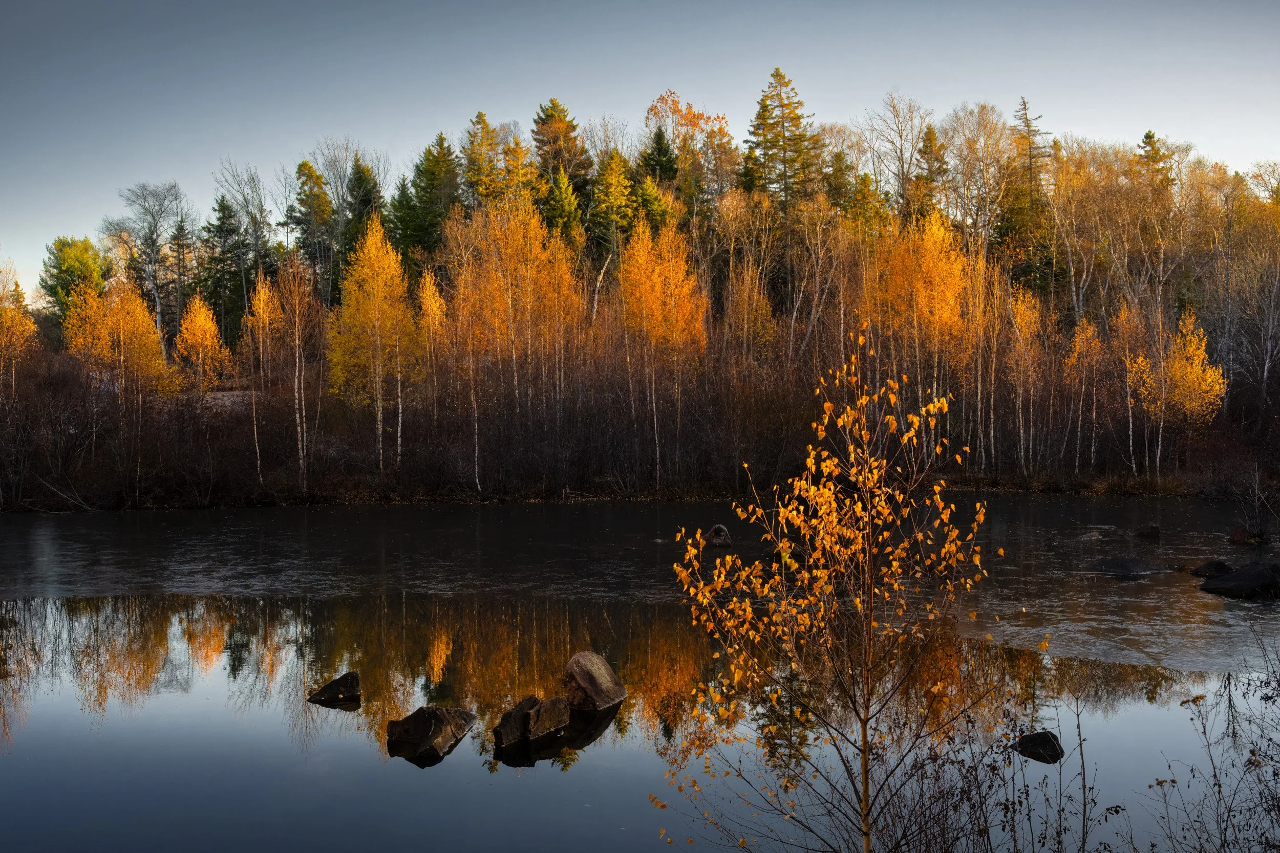 Sweeping Sunset Light - 5686