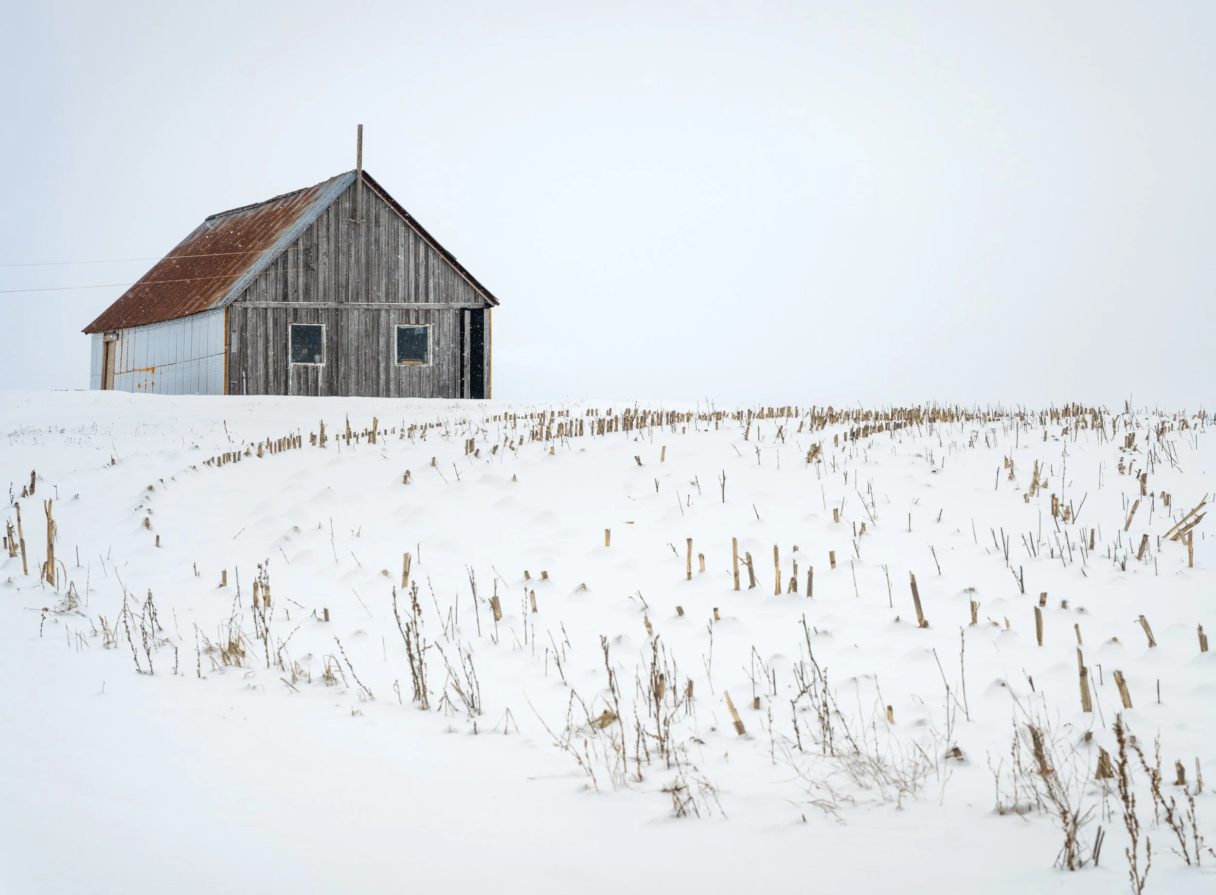 Quiet Winter, The Barn - 6246