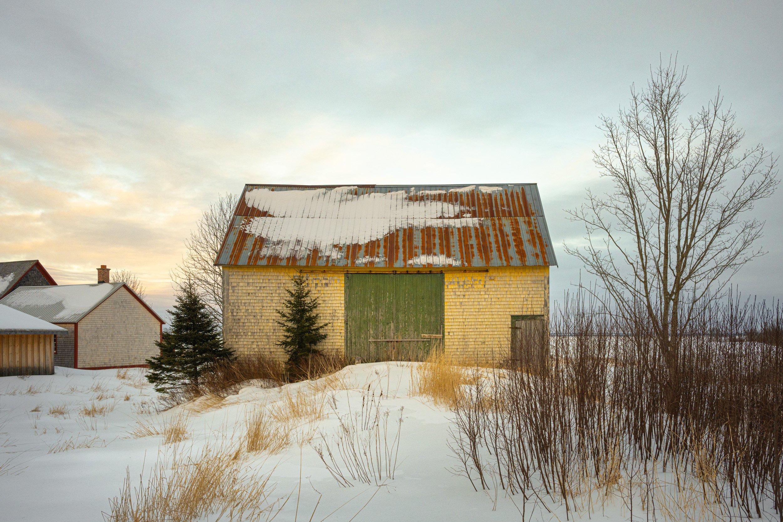 Yellow Barn Middle Sackville - 3067