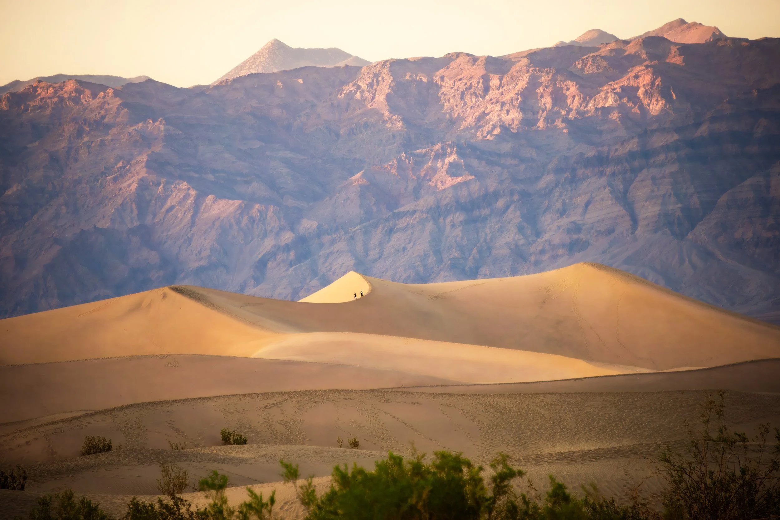 Evening Walk on Mesquite Dunes - 8311
