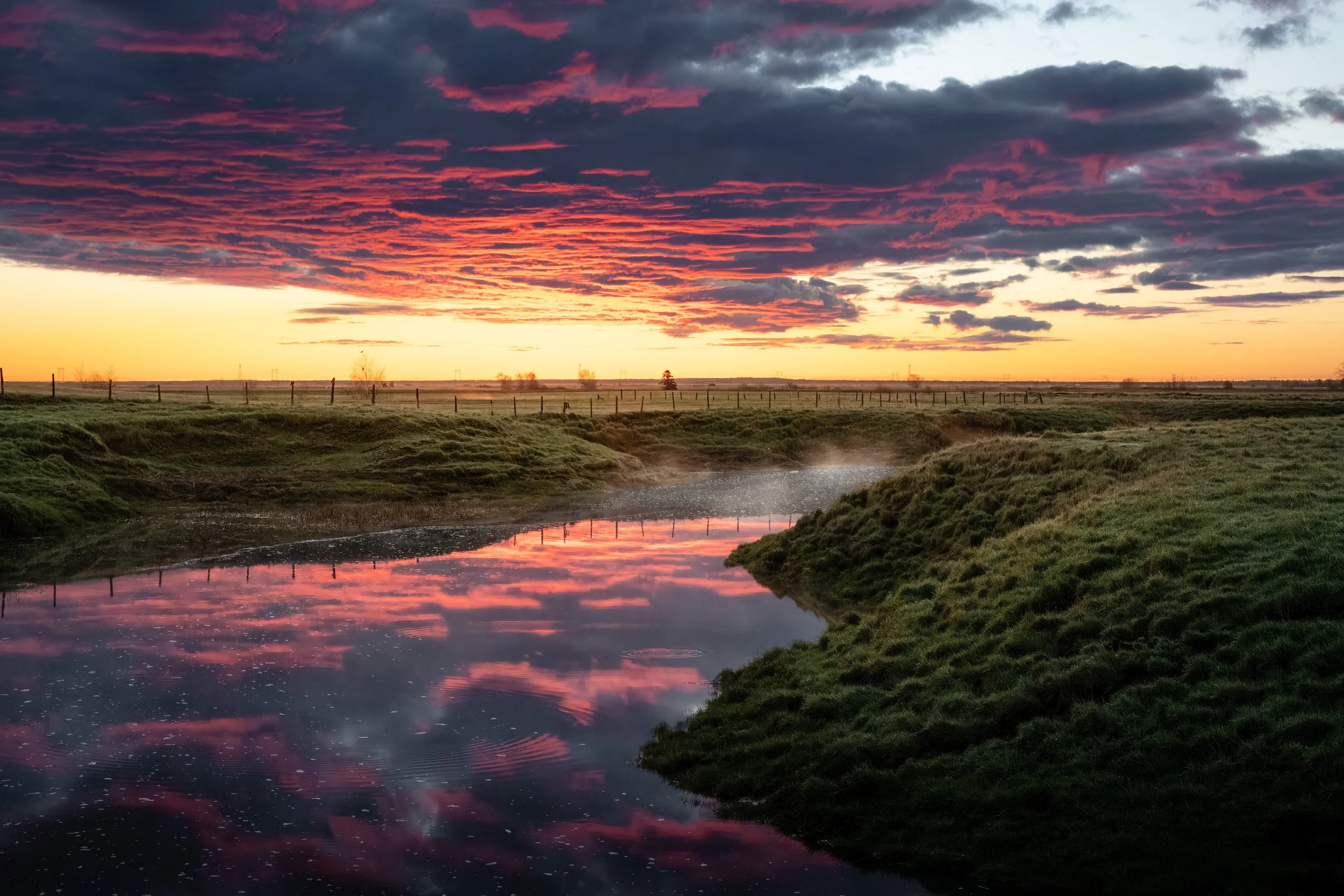 Blue Hour on Morice Creek - 7142