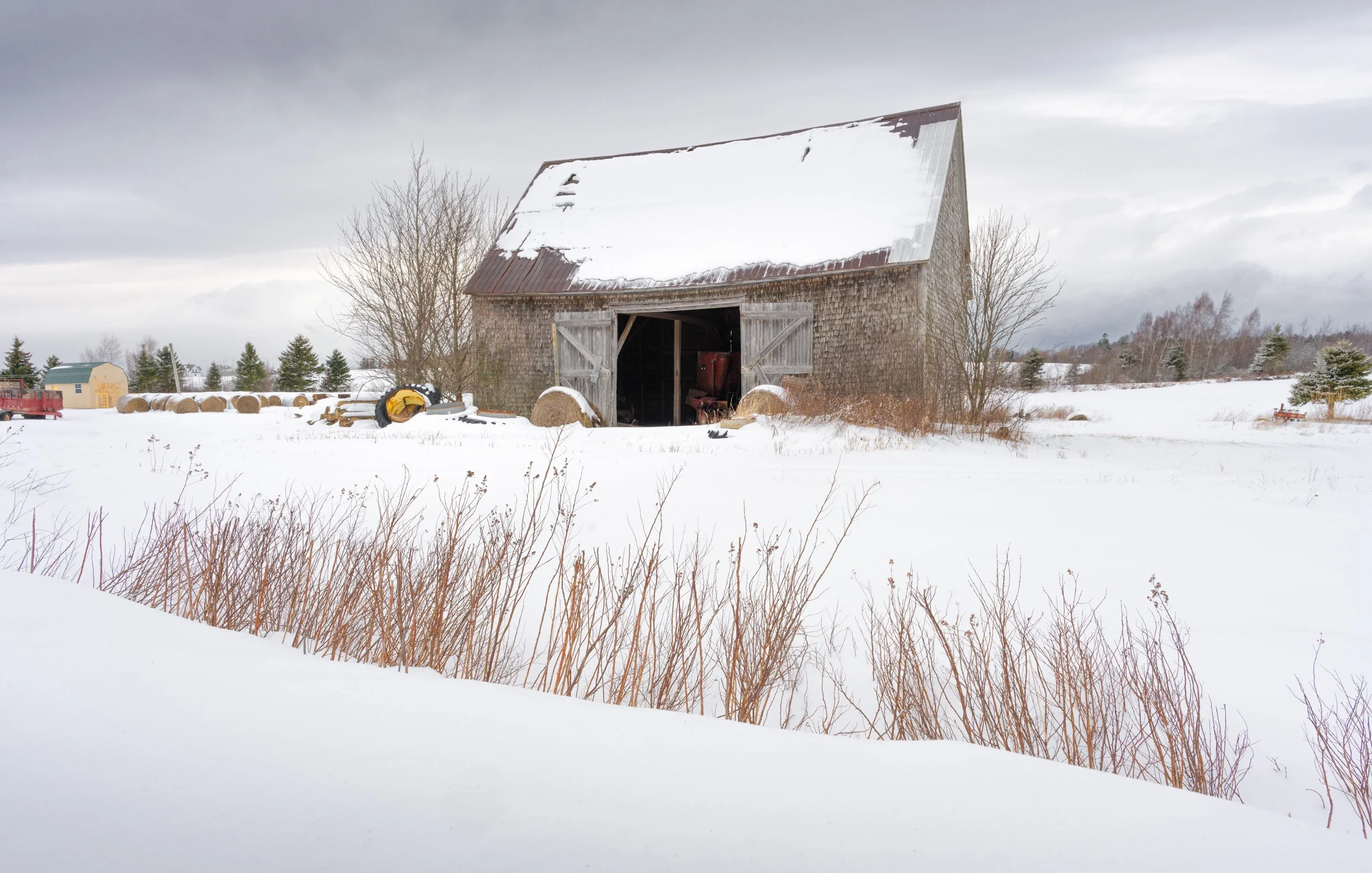 Winter's Open Door - 2541