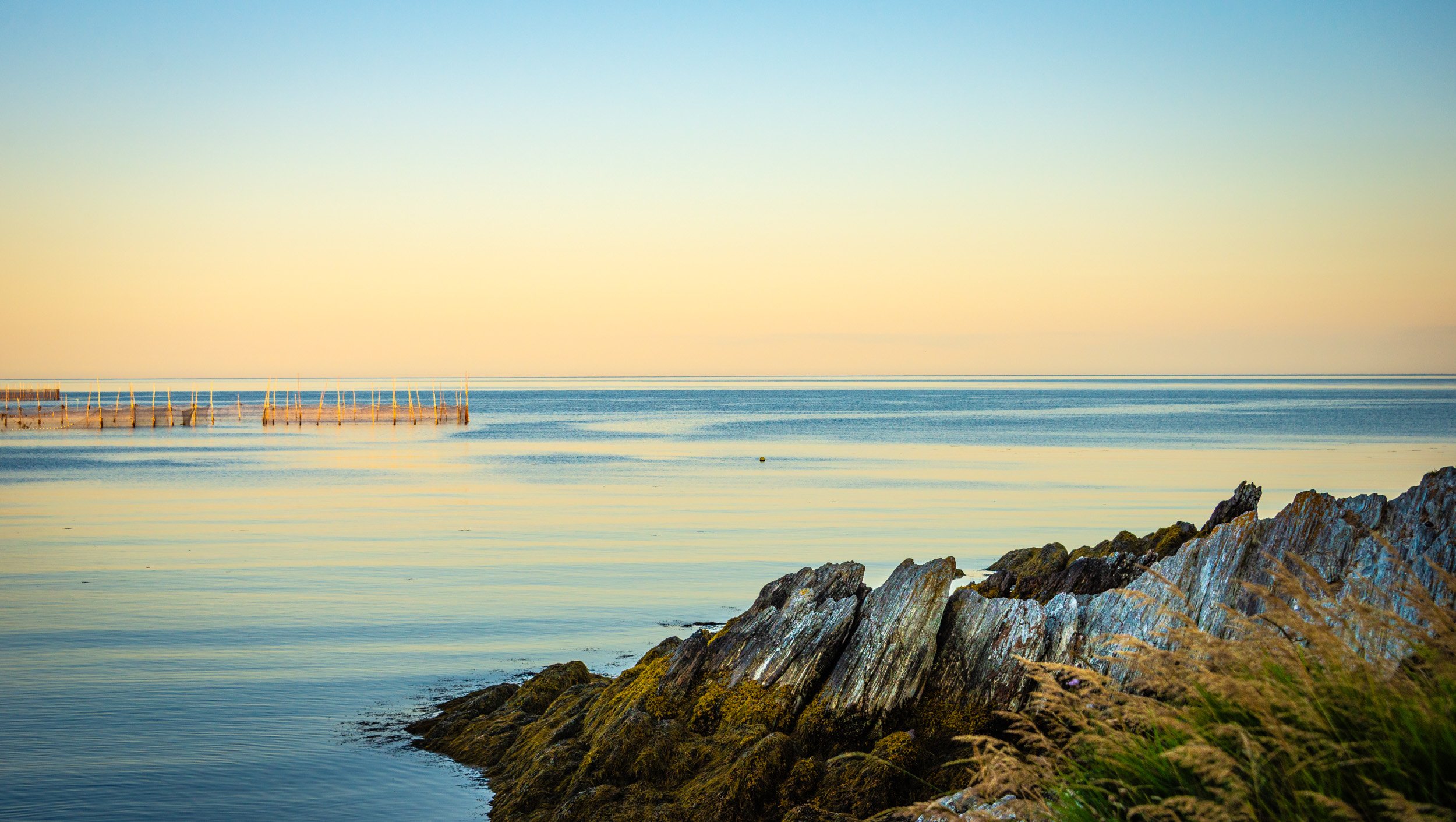 Quiet Water, Grand Manan - 5749