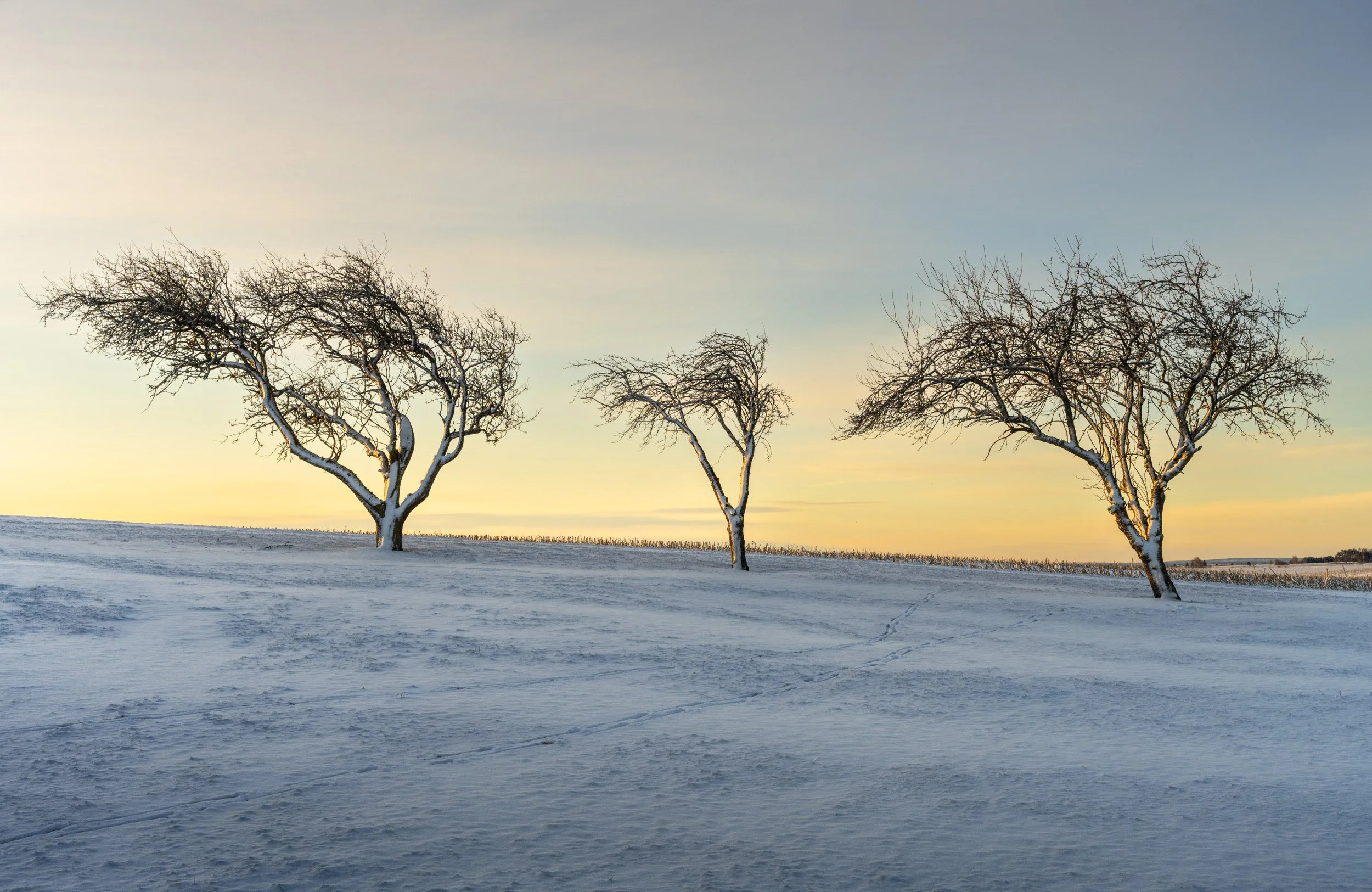 The 3 Sisters-6478.jpg