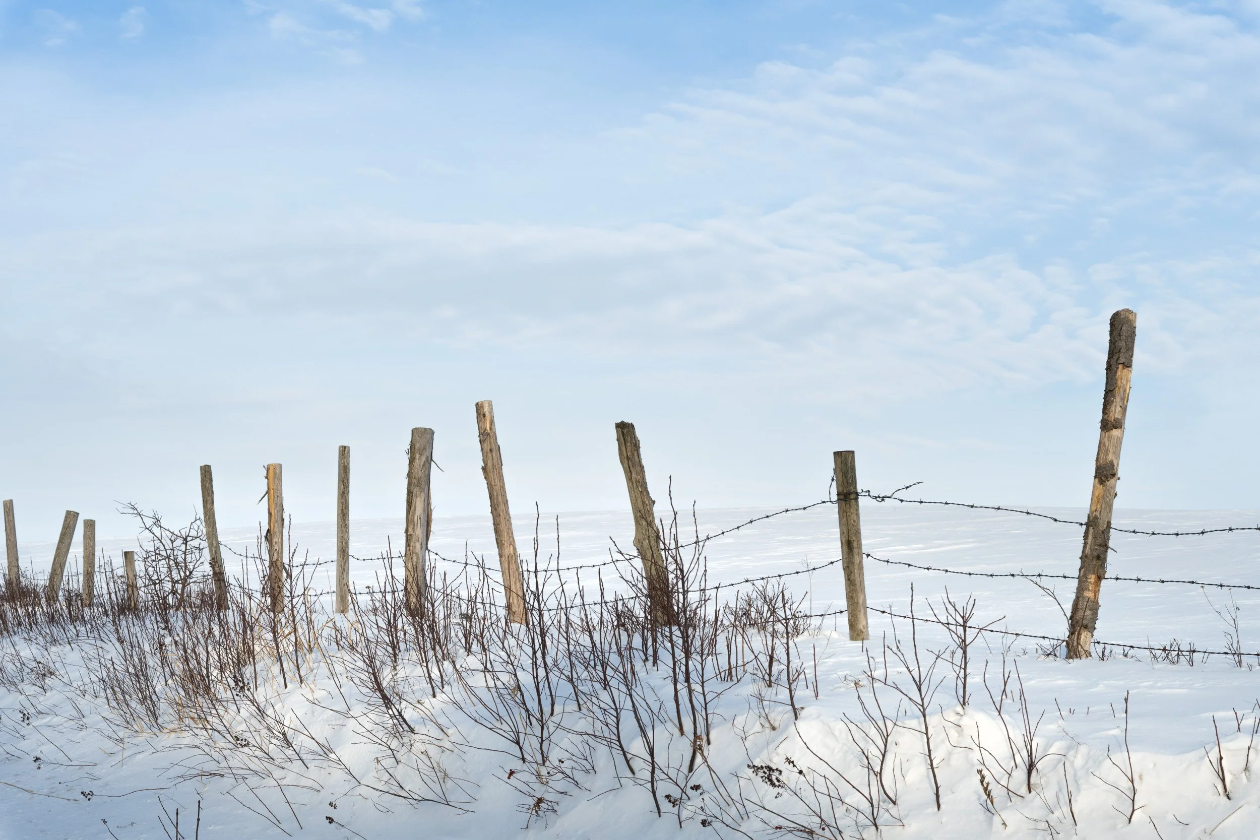 Boundary in White - 6277