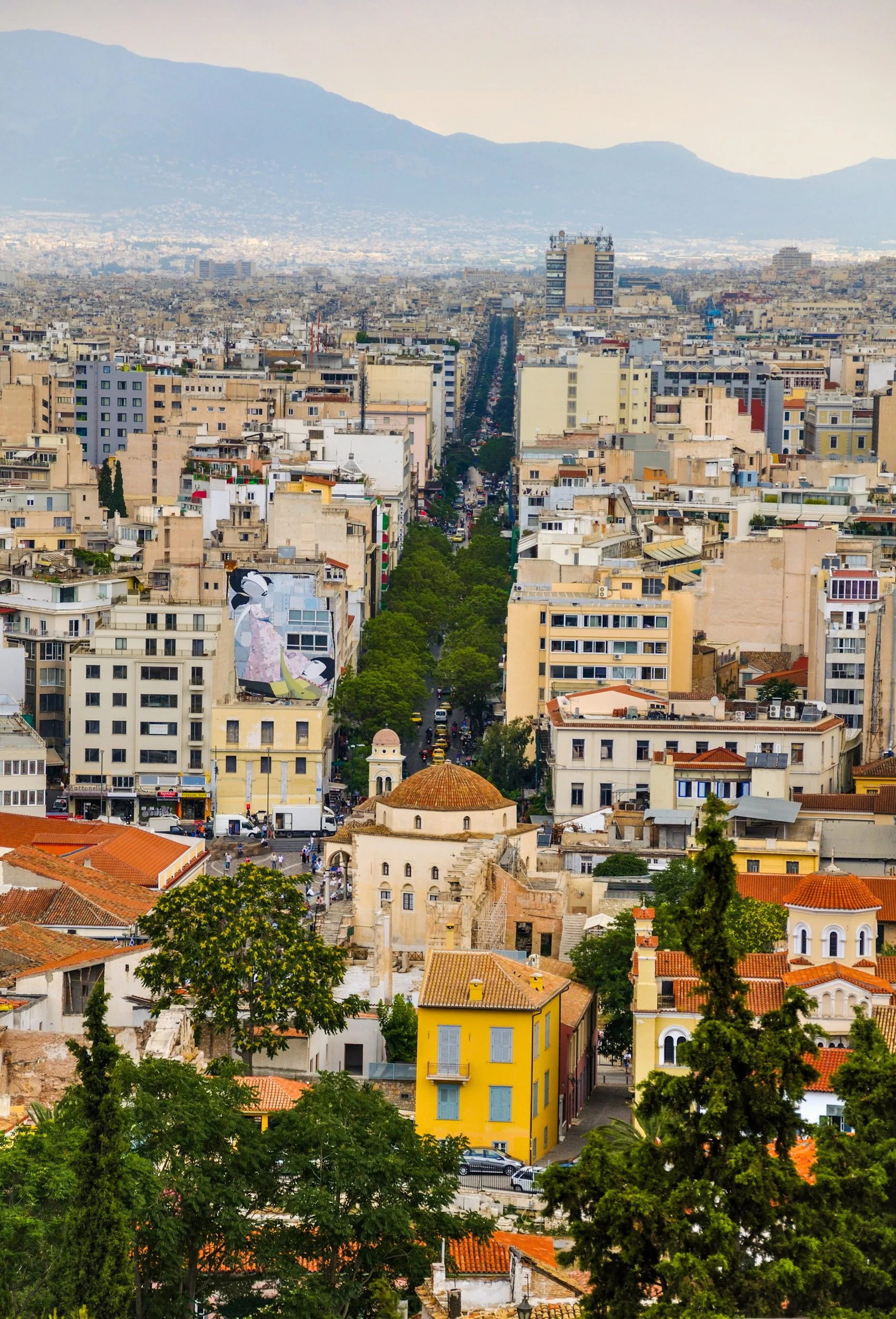 Athen's Tree Boulevard - 207