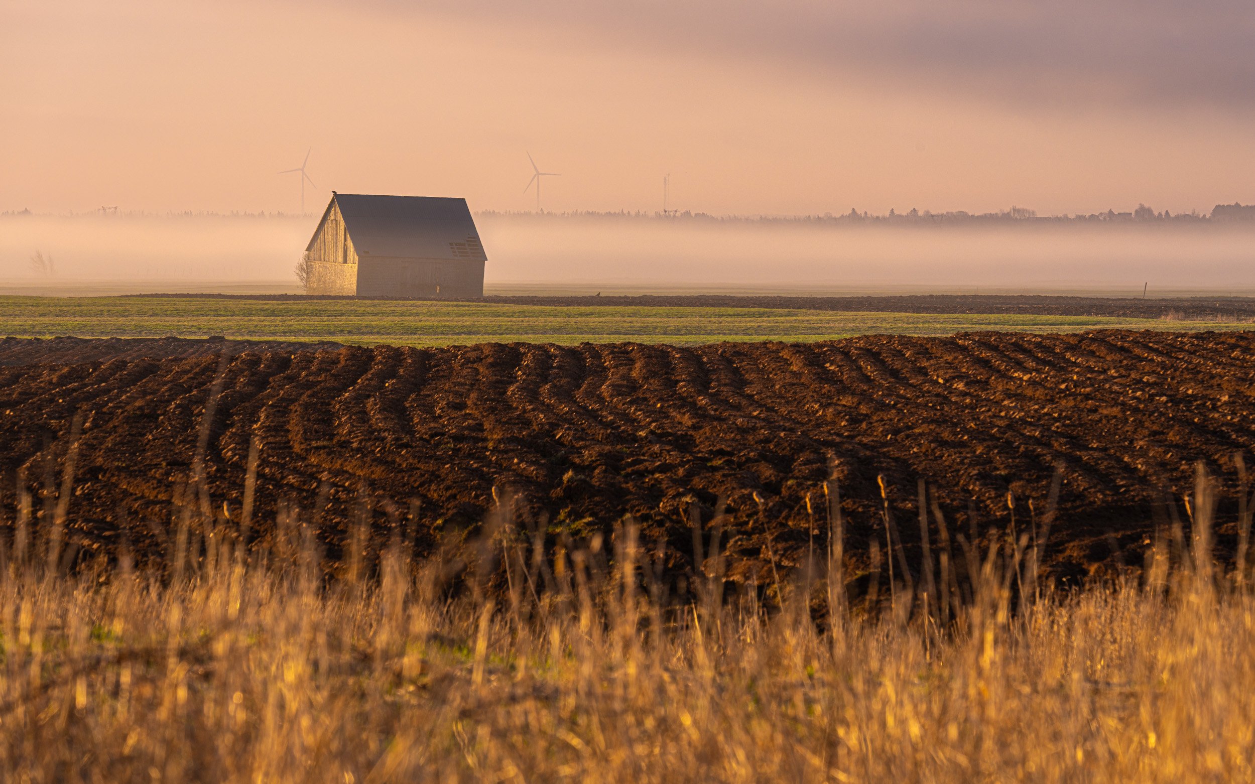 Hay Barn on the Marsh No. 1 - 0404