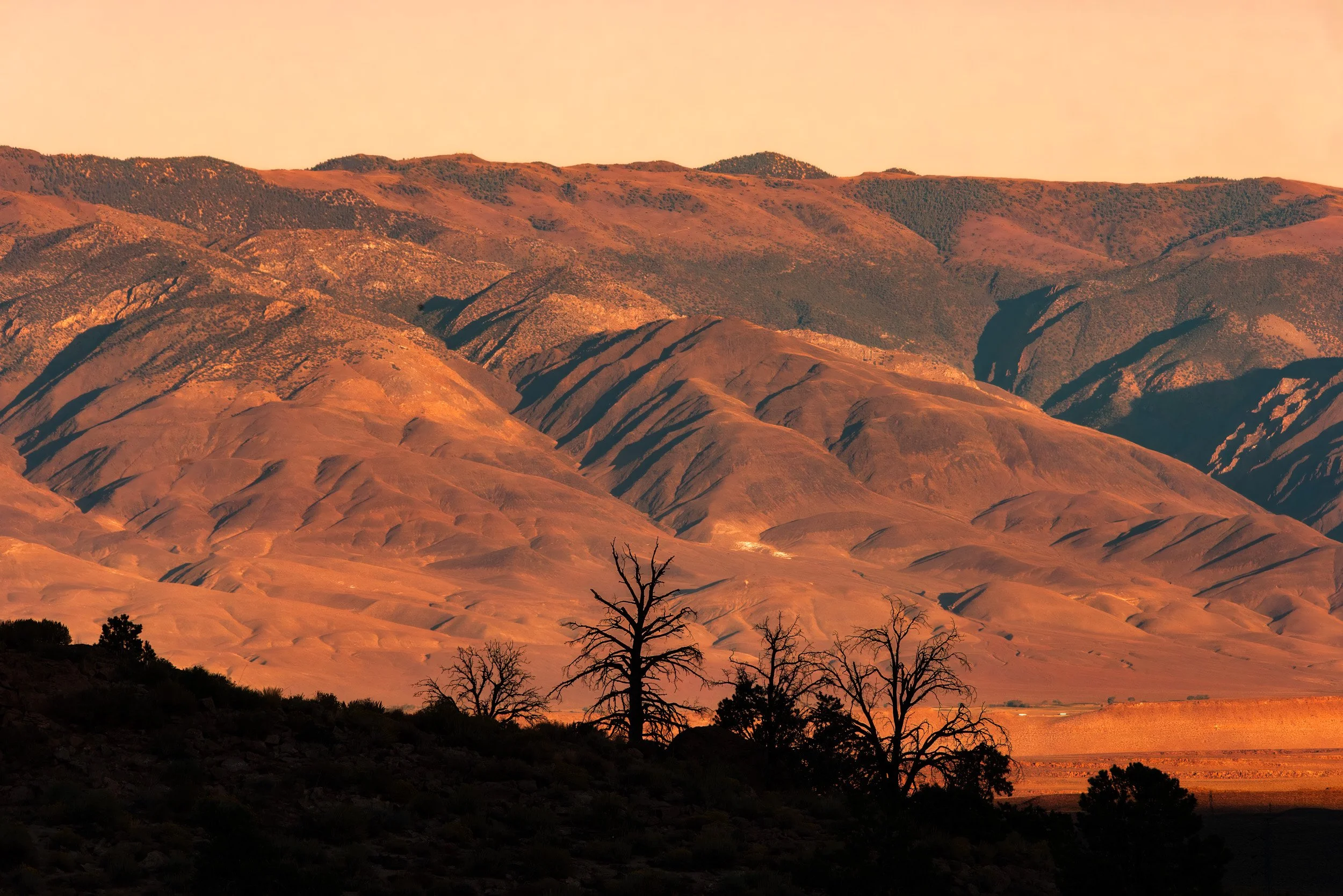 Desert Layers - 8005