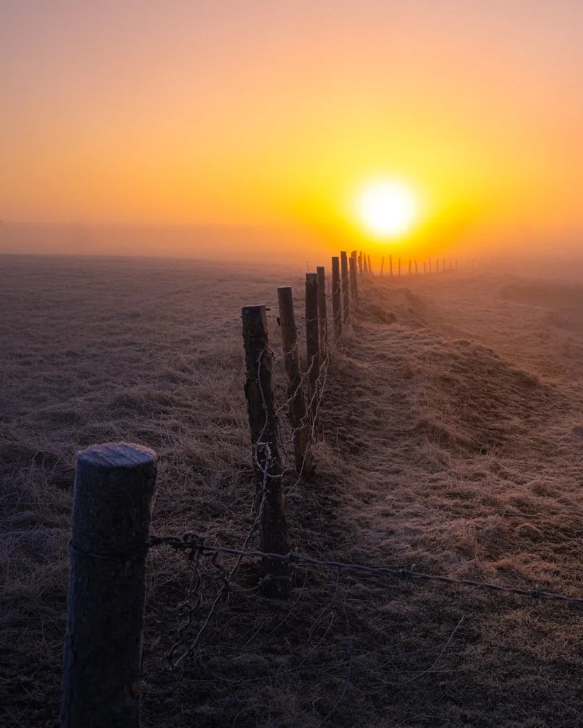 Sunrise on a Fence No.2 - 3394