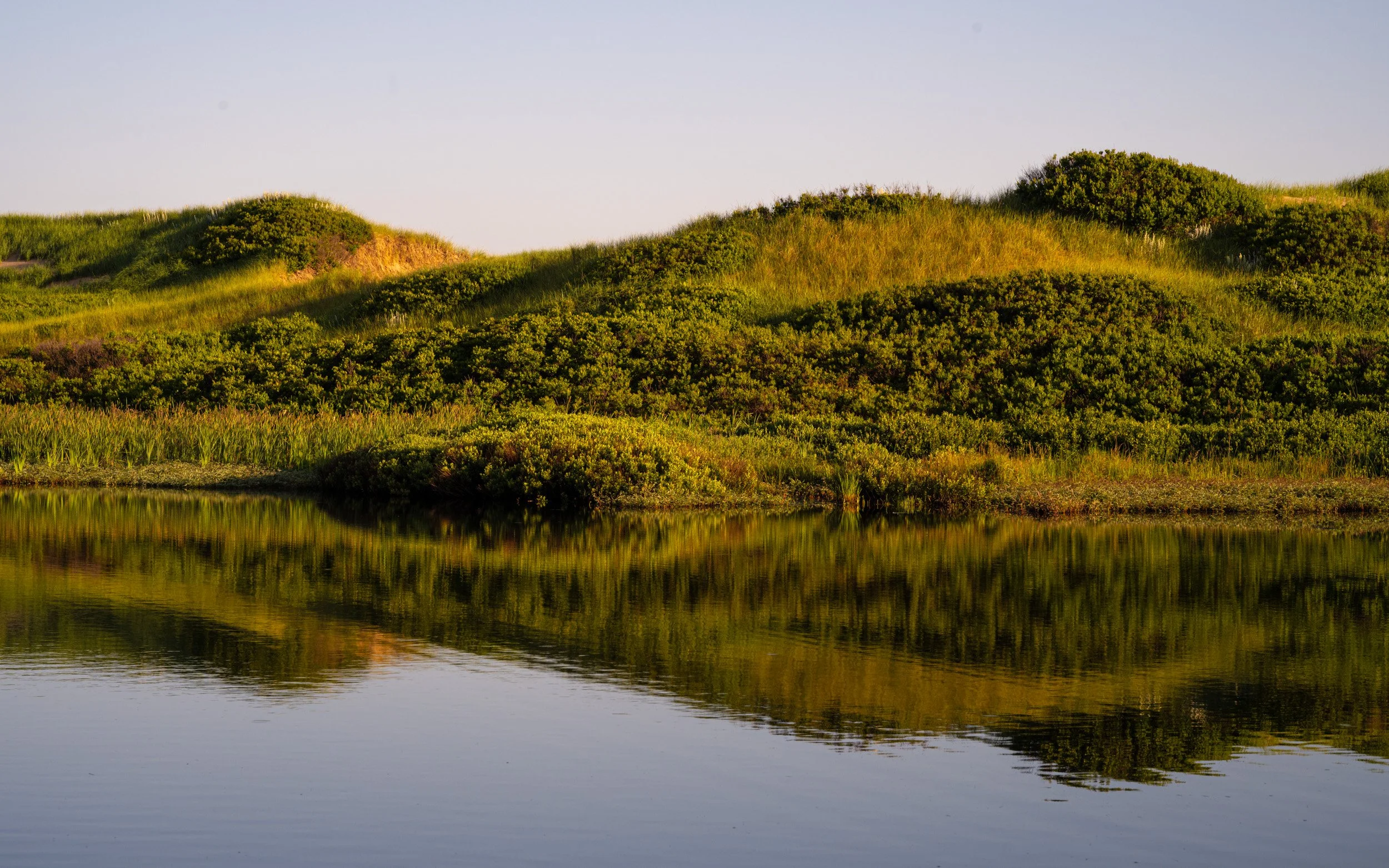 Where the Dune Meets Water - 4919