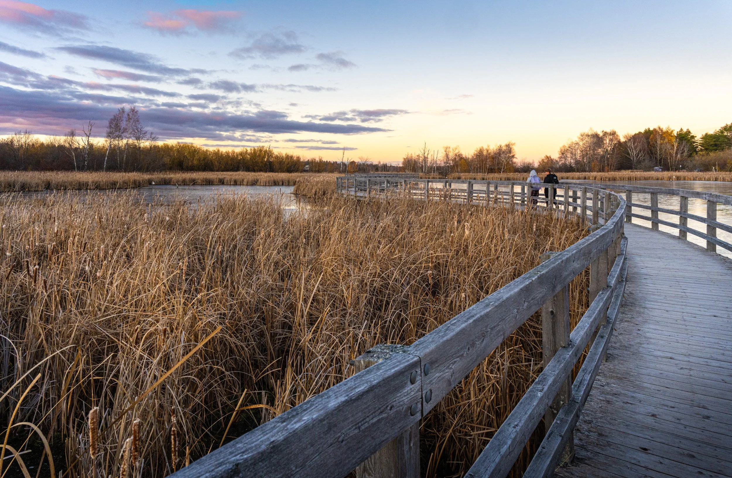 Evening Stroll on the Boardwalk - 5736
