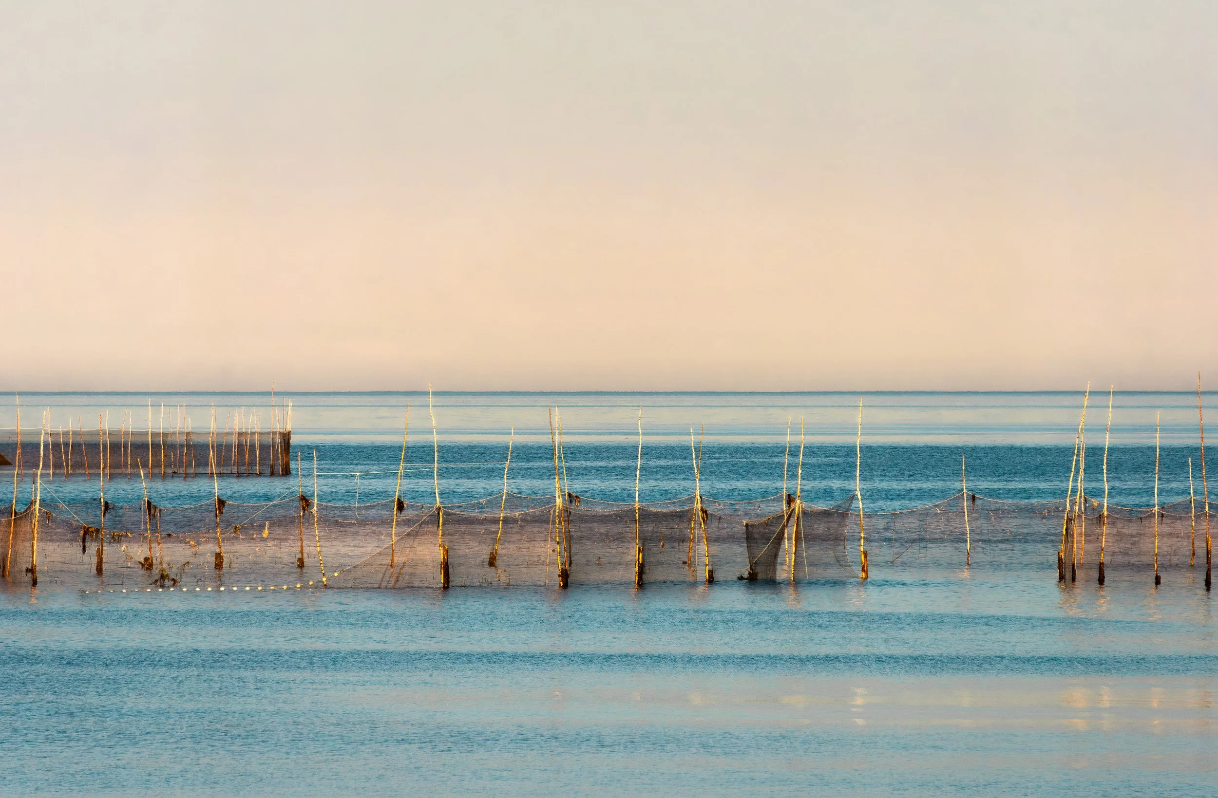 Grand Manan Fishing Weir Sunset - 5756