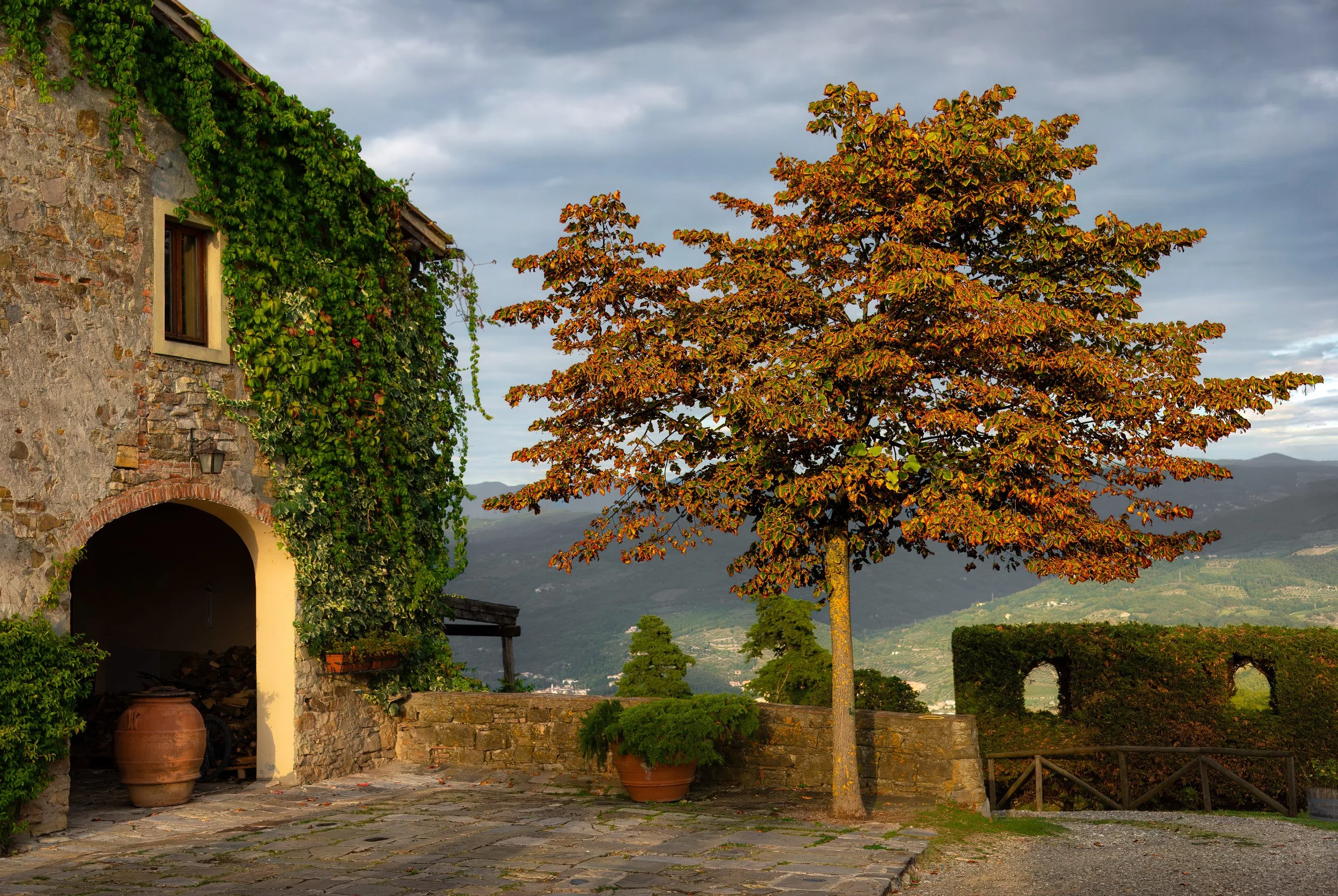 Tuscan Bliss - 3699