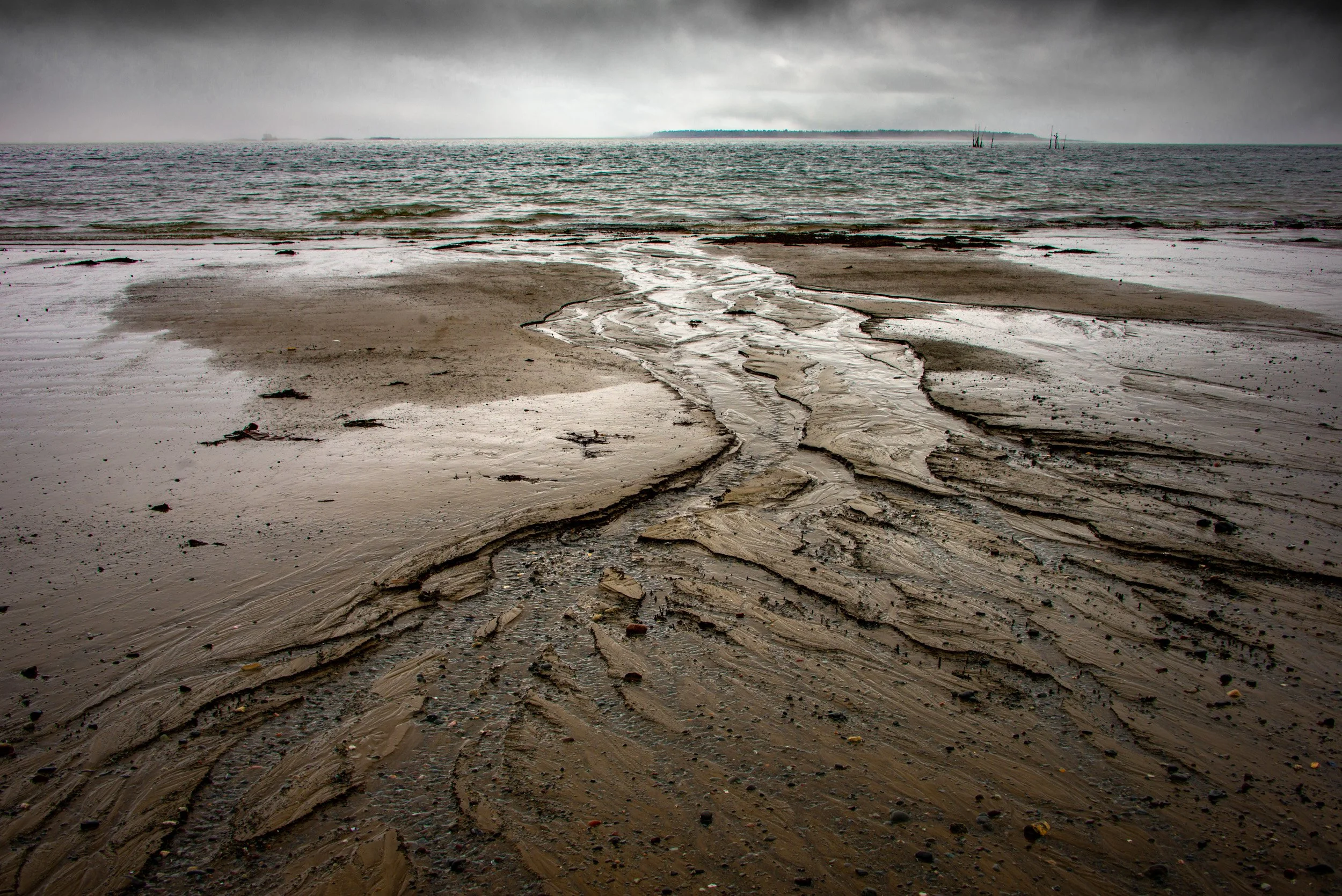 Carved by the Fundy Tide - 6049