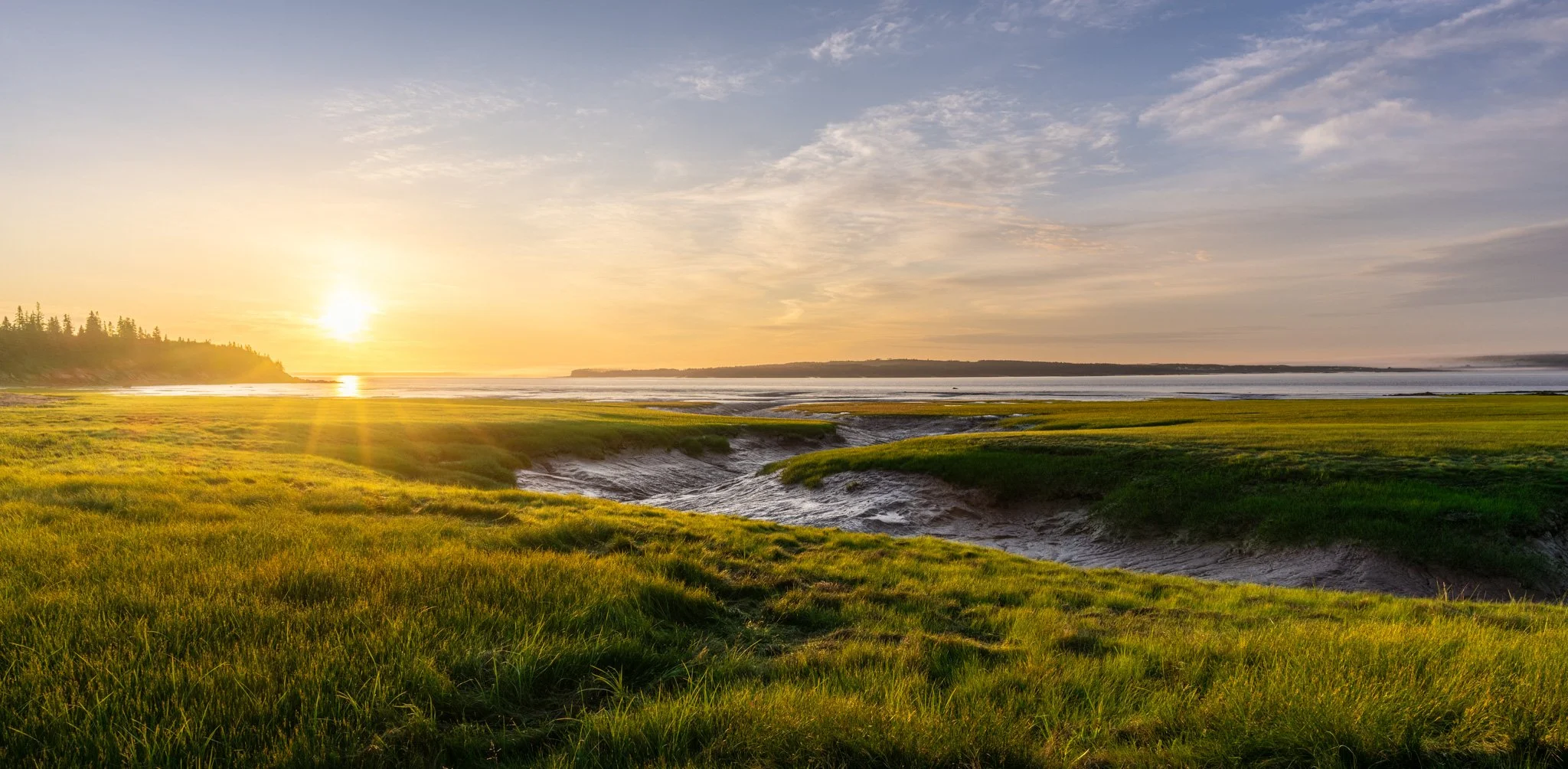 Between Tide and Land - 7920