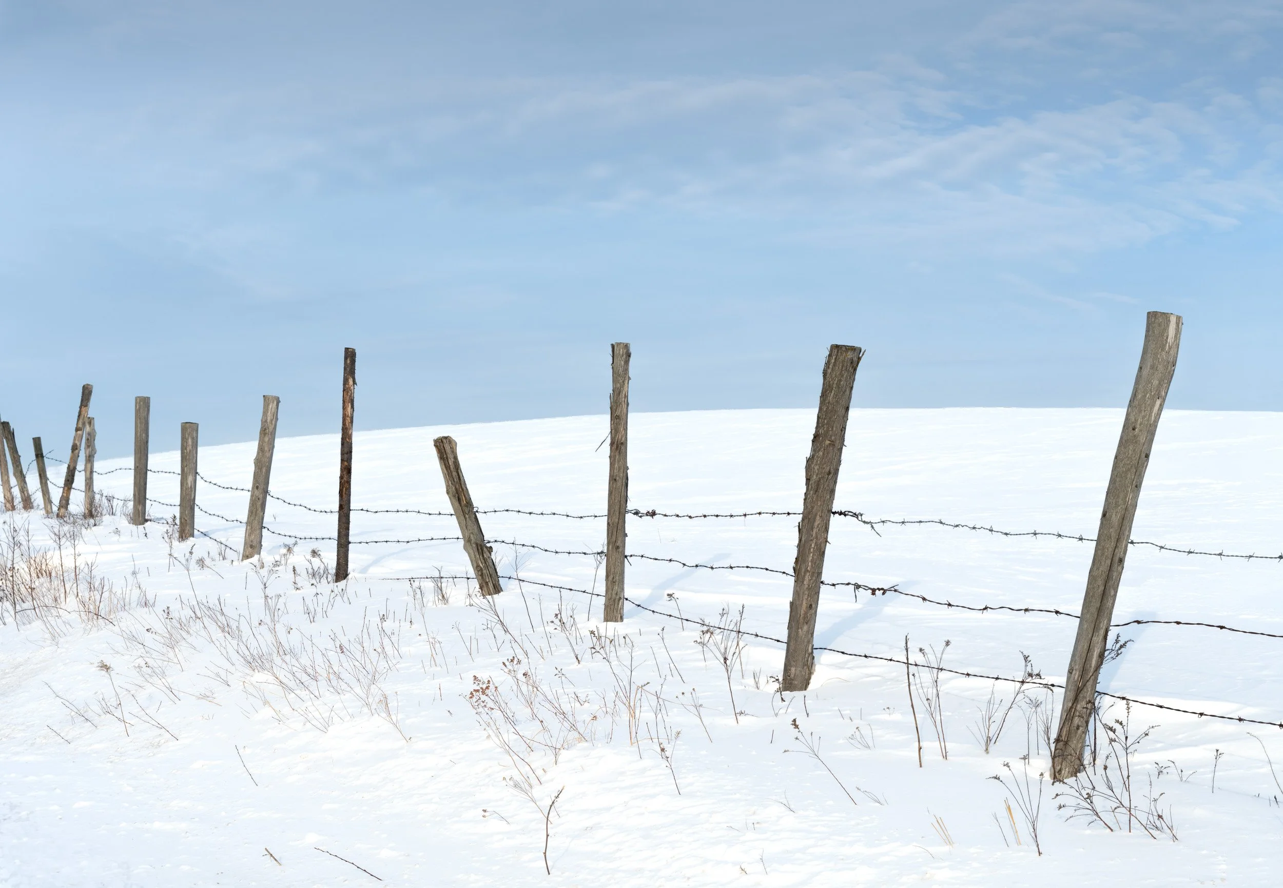 Winter Fence - 6275