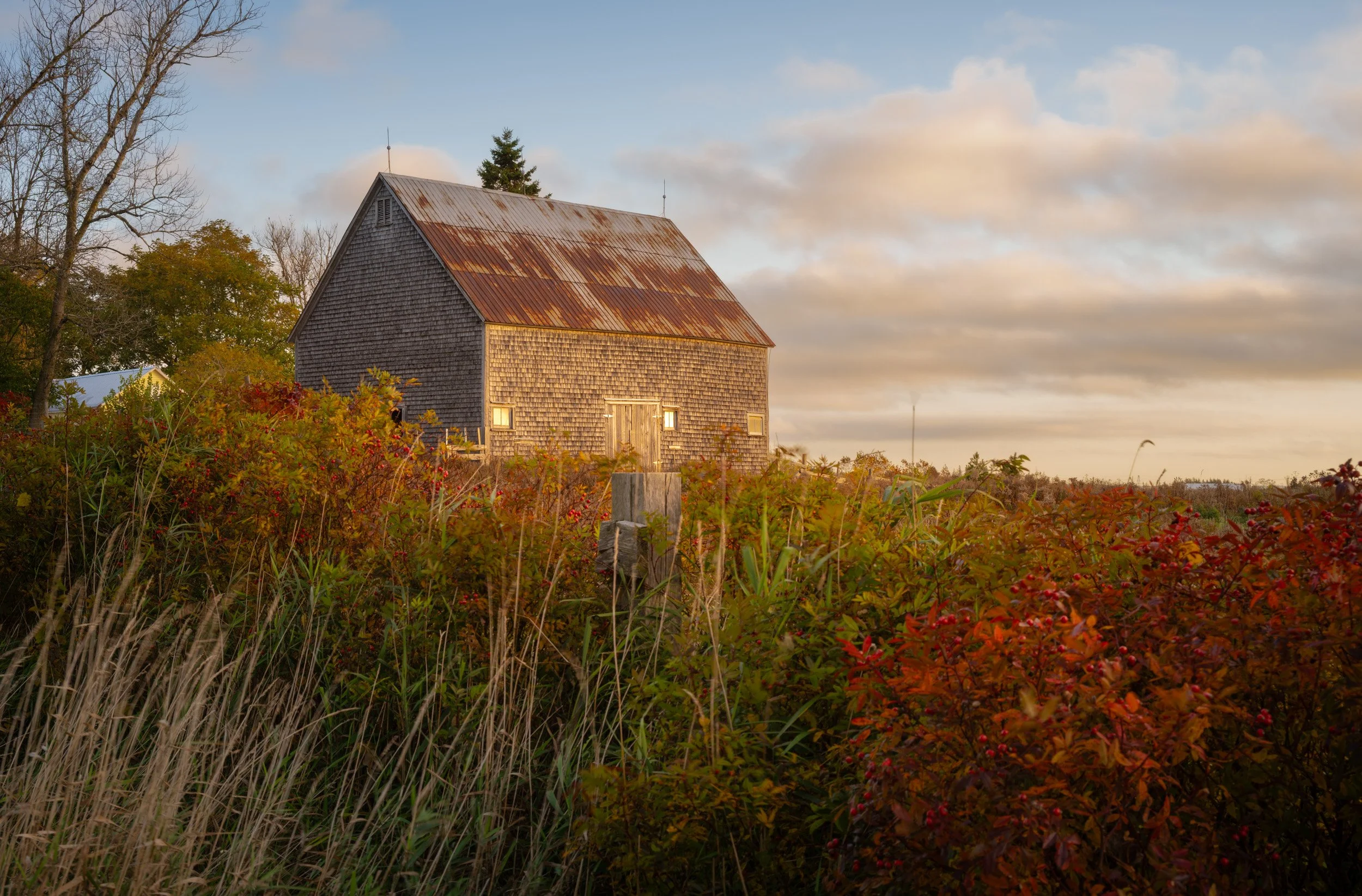Barn Fall Sunrise - 2141